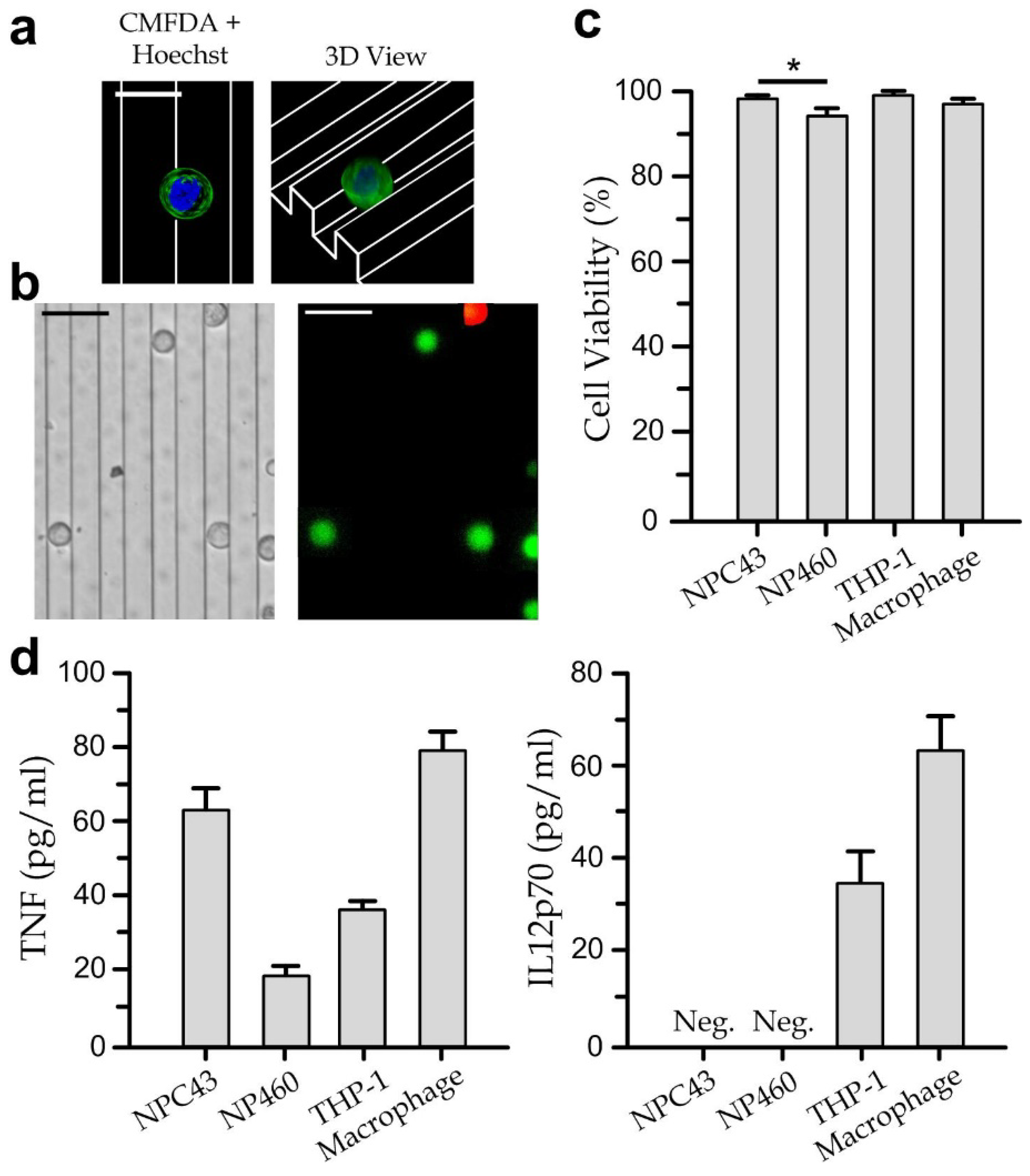 Biosensors 12 00963 g003 Biosensors 12 00963 g003
