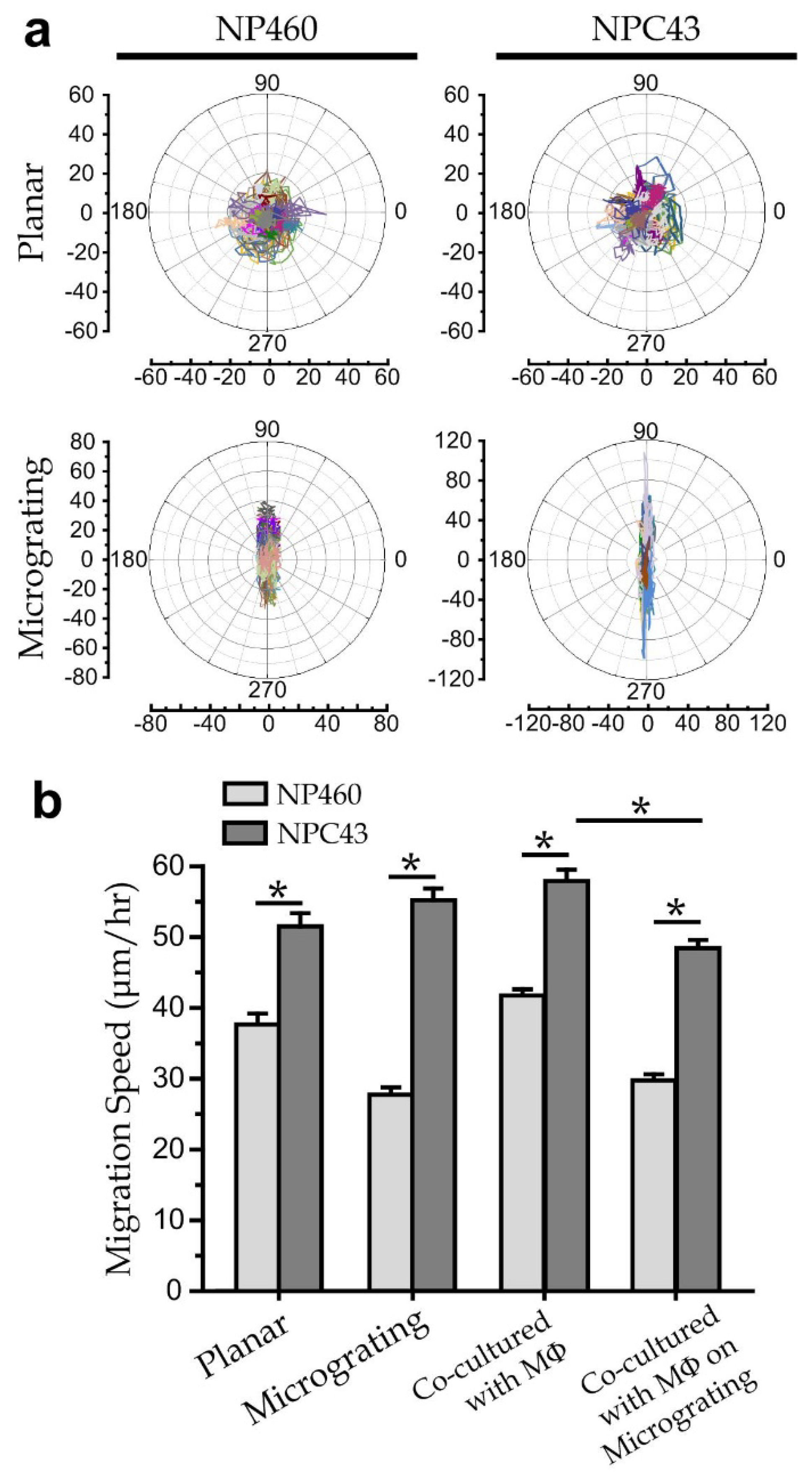 Biosensors 12 00963 g005 Biosensors 12 00963 g005