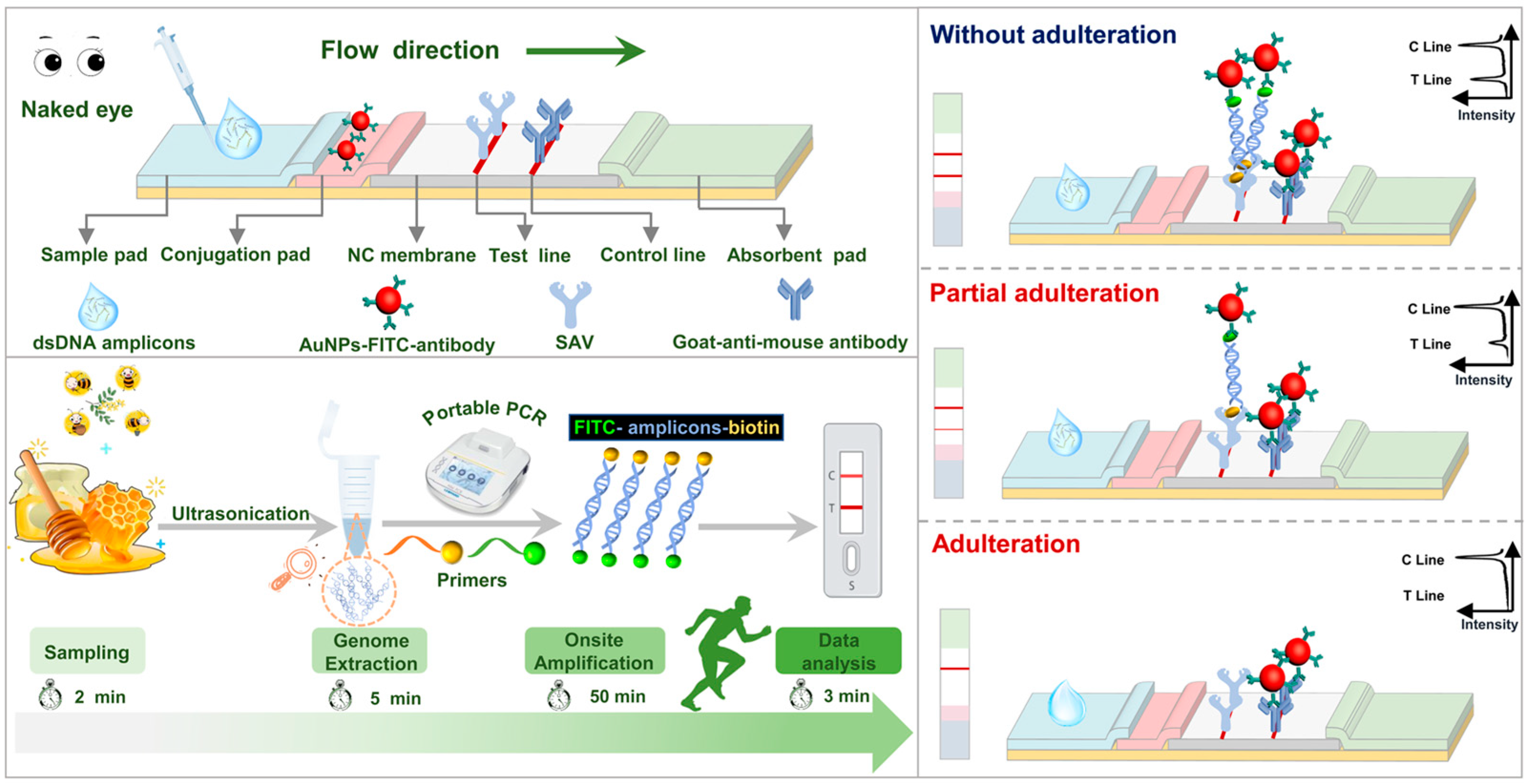 Biosensors 12 00971 g001 Biosensors 12 00971 g001