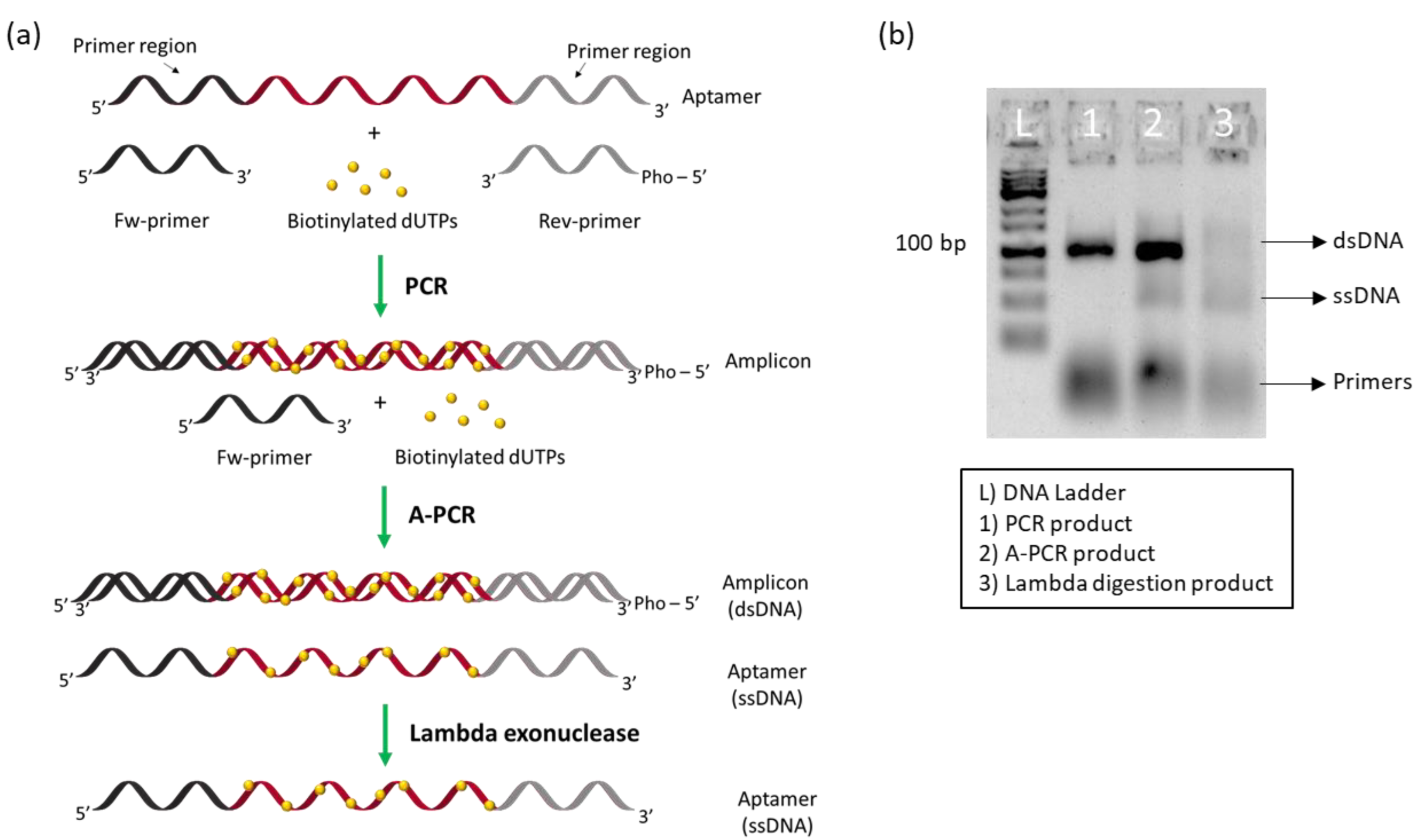Biosensors 12 00972 g001 Biosensors 12 00972 g001