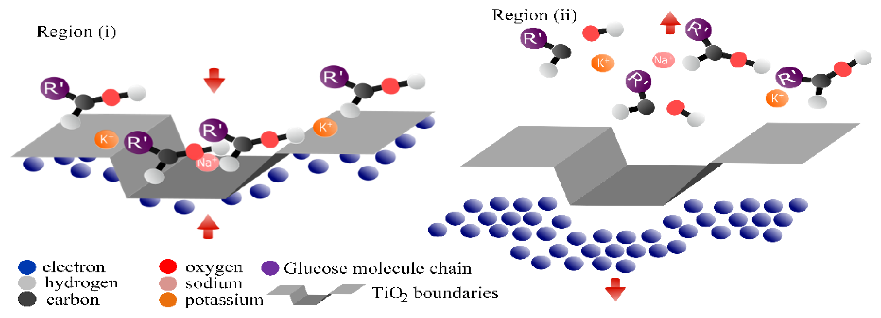 Biosensors 12 00973 g005 Biosensors 12 00973 g005