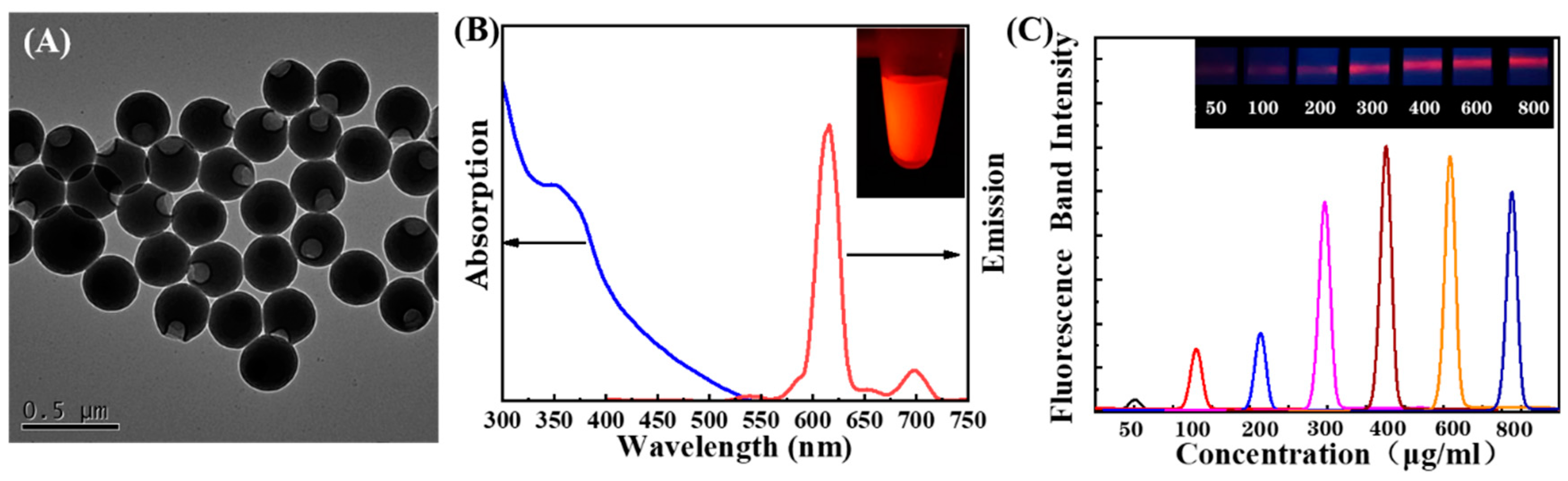 Biosensors 12 00977 g002