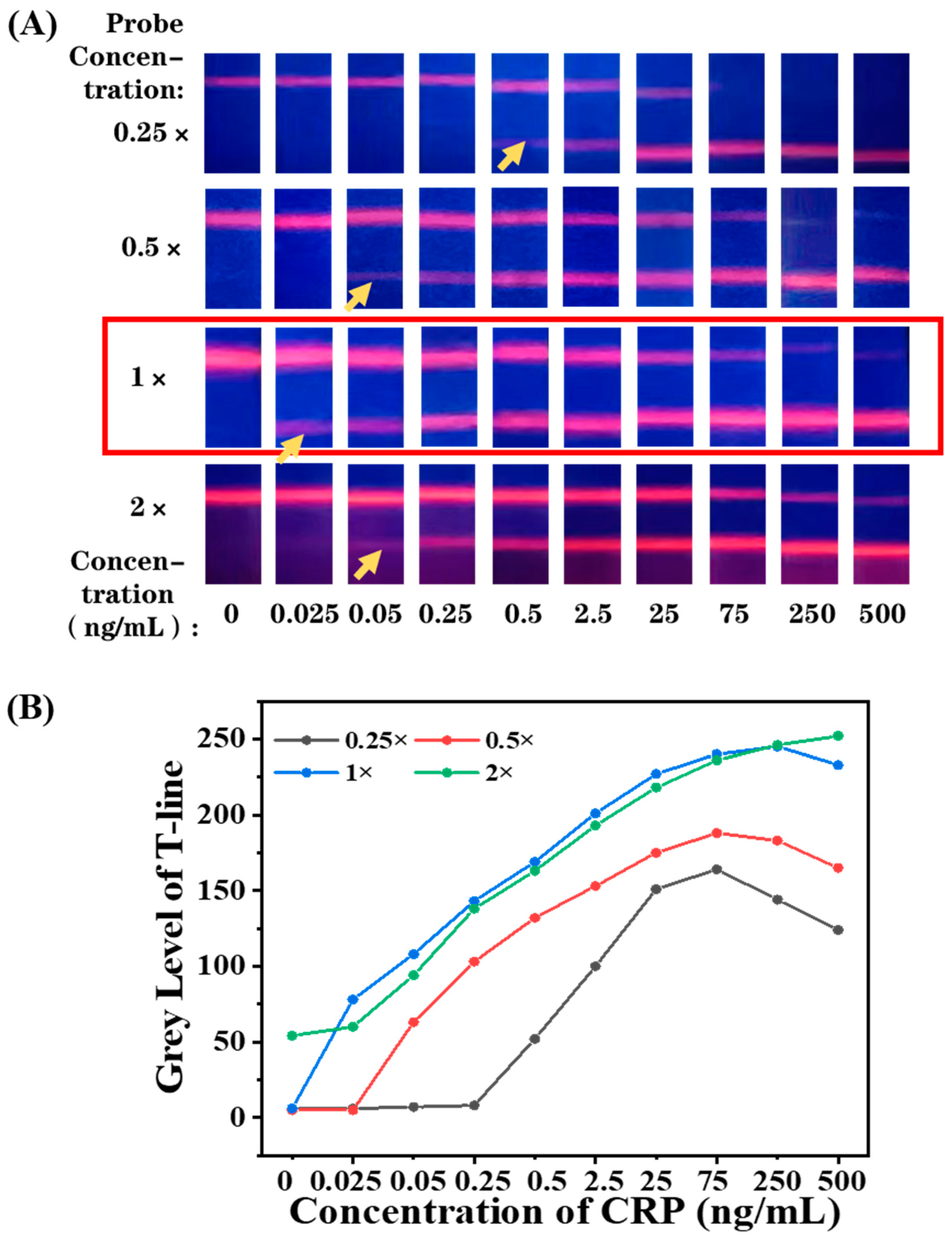 Biosensors 12 00977 g005