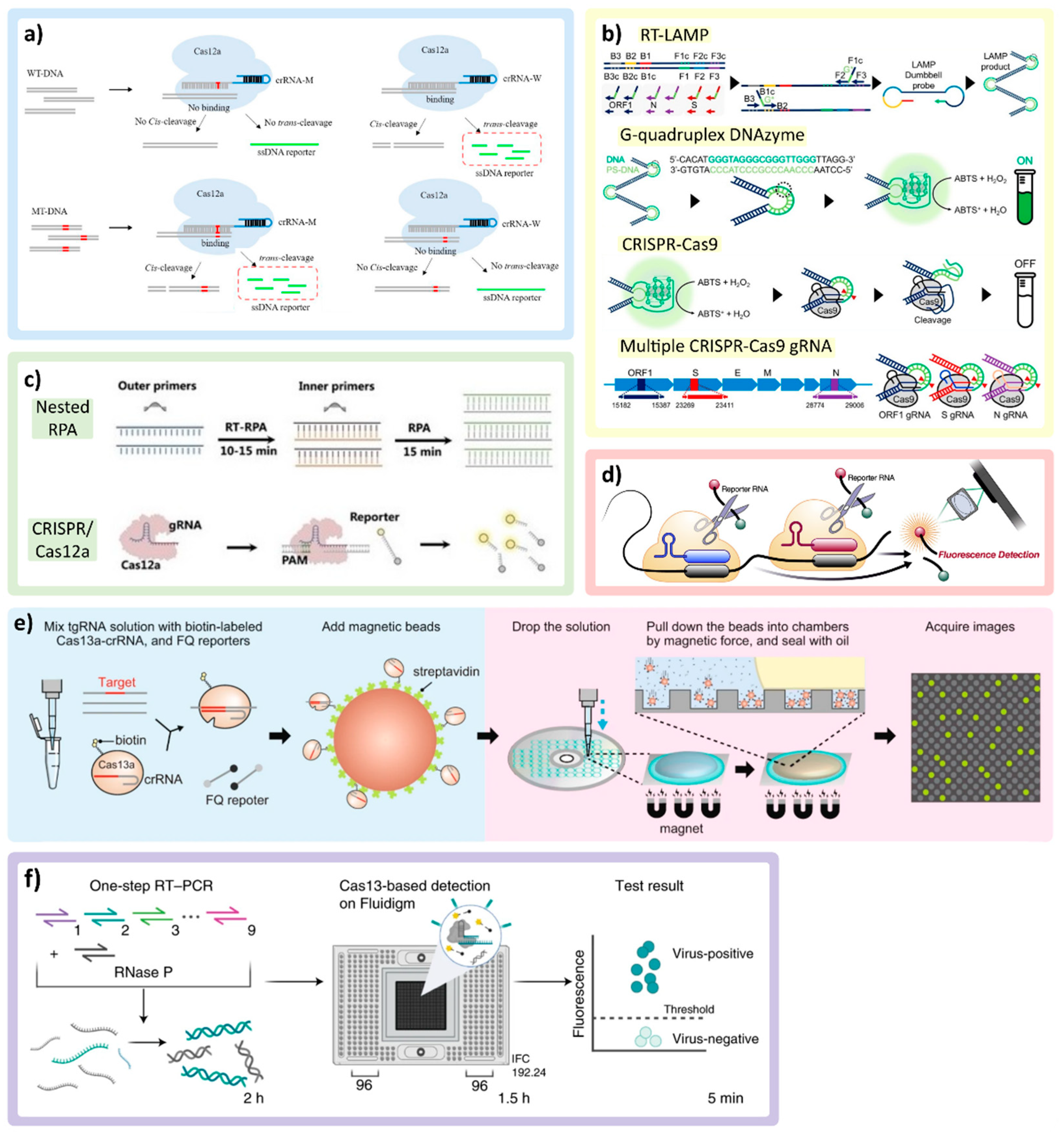 Biosensors 12 00978 g003