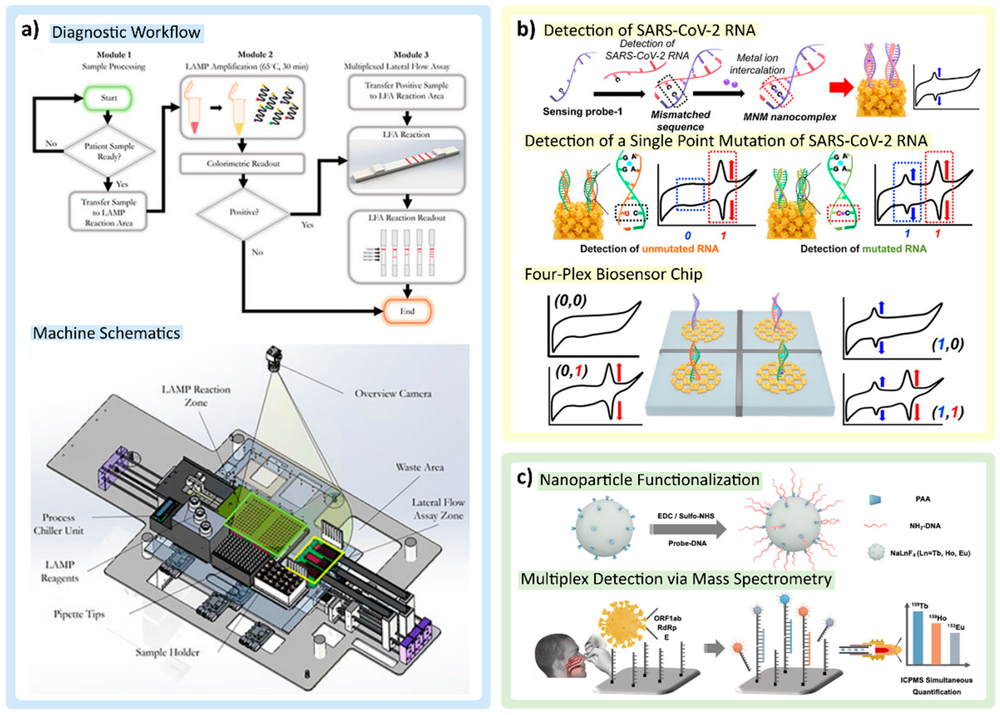 Biosensors 12 00978 g005