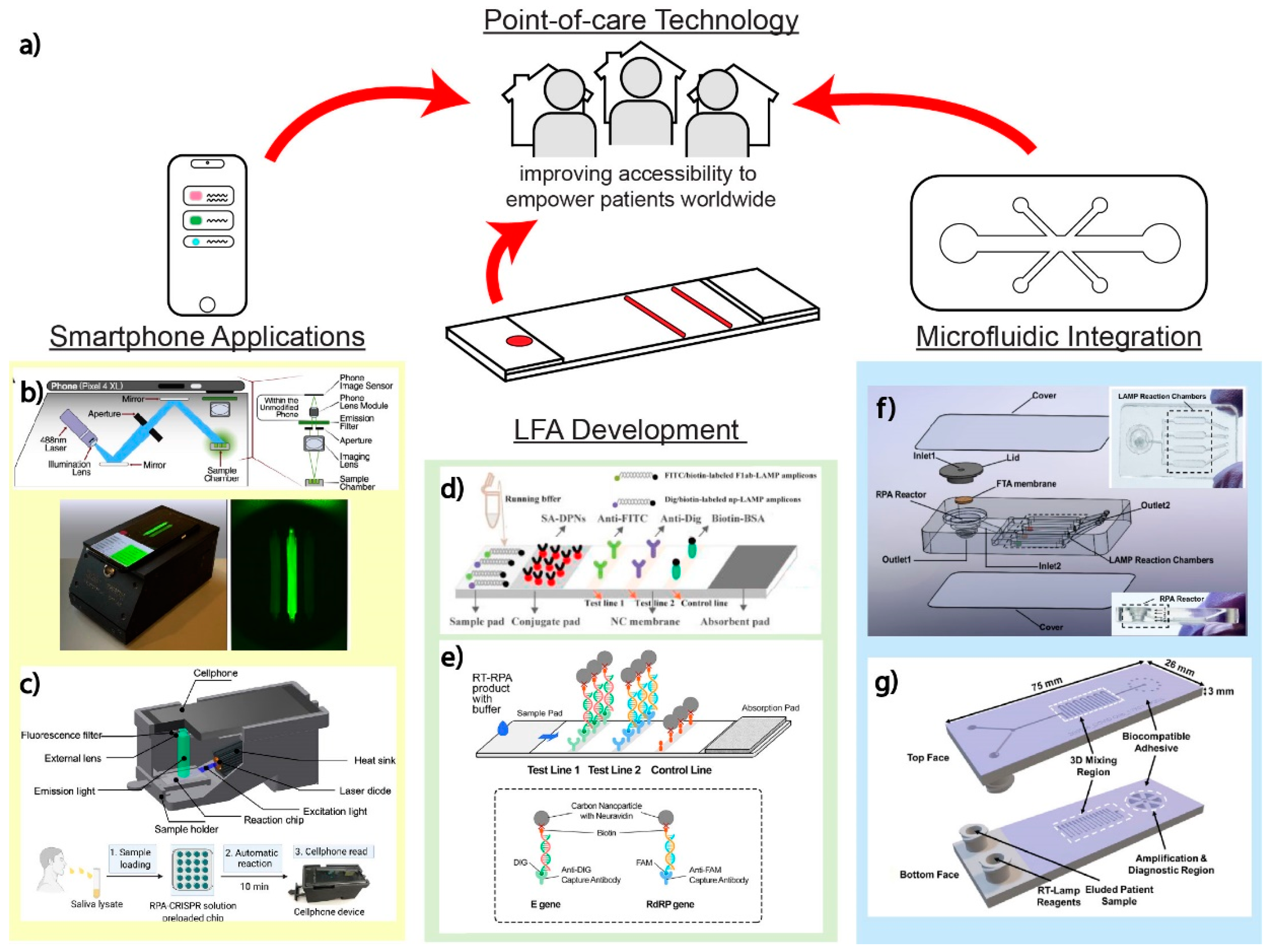 Biosensors 12 00978 g006