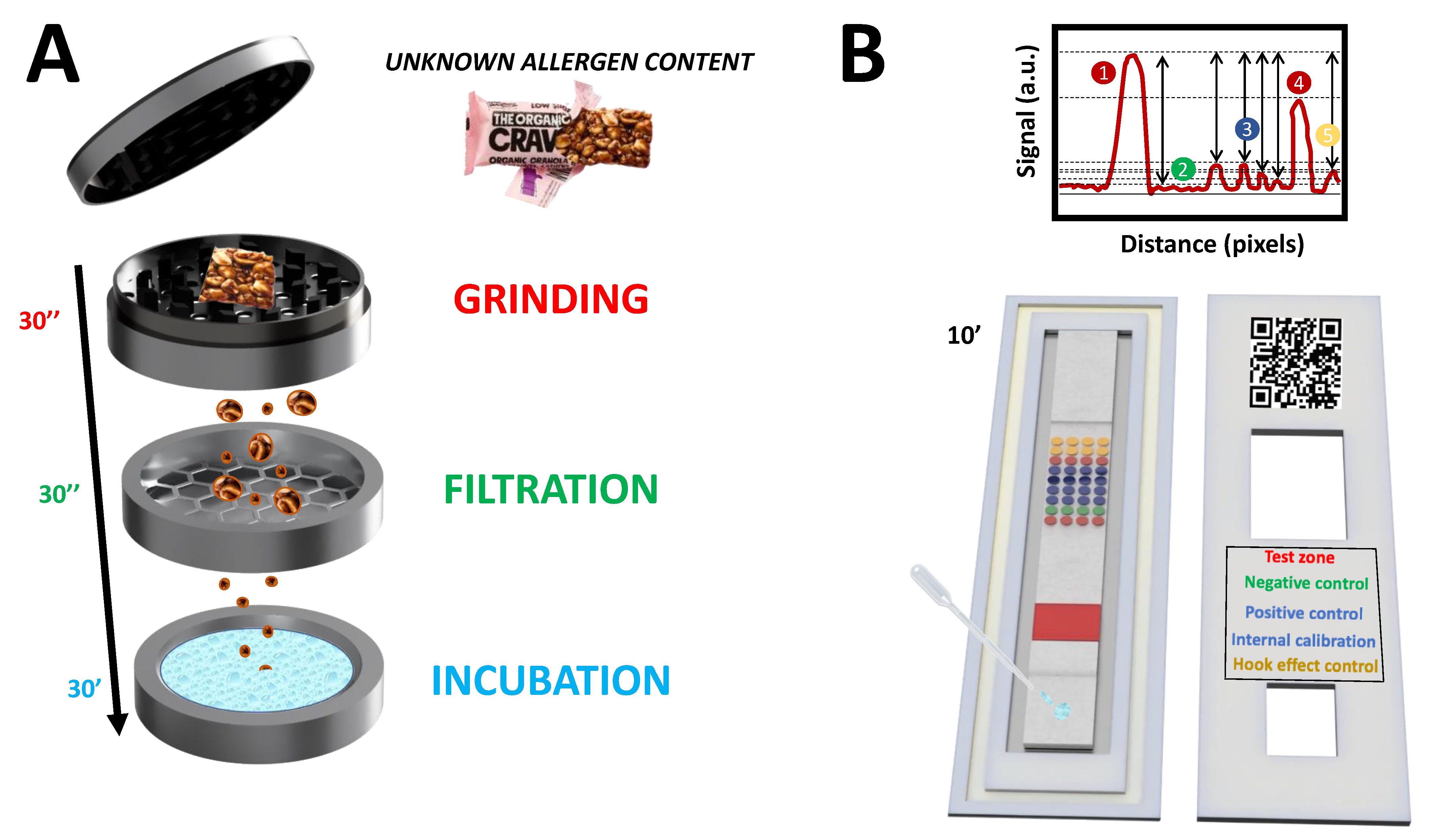Biosensors 12 00980 g001