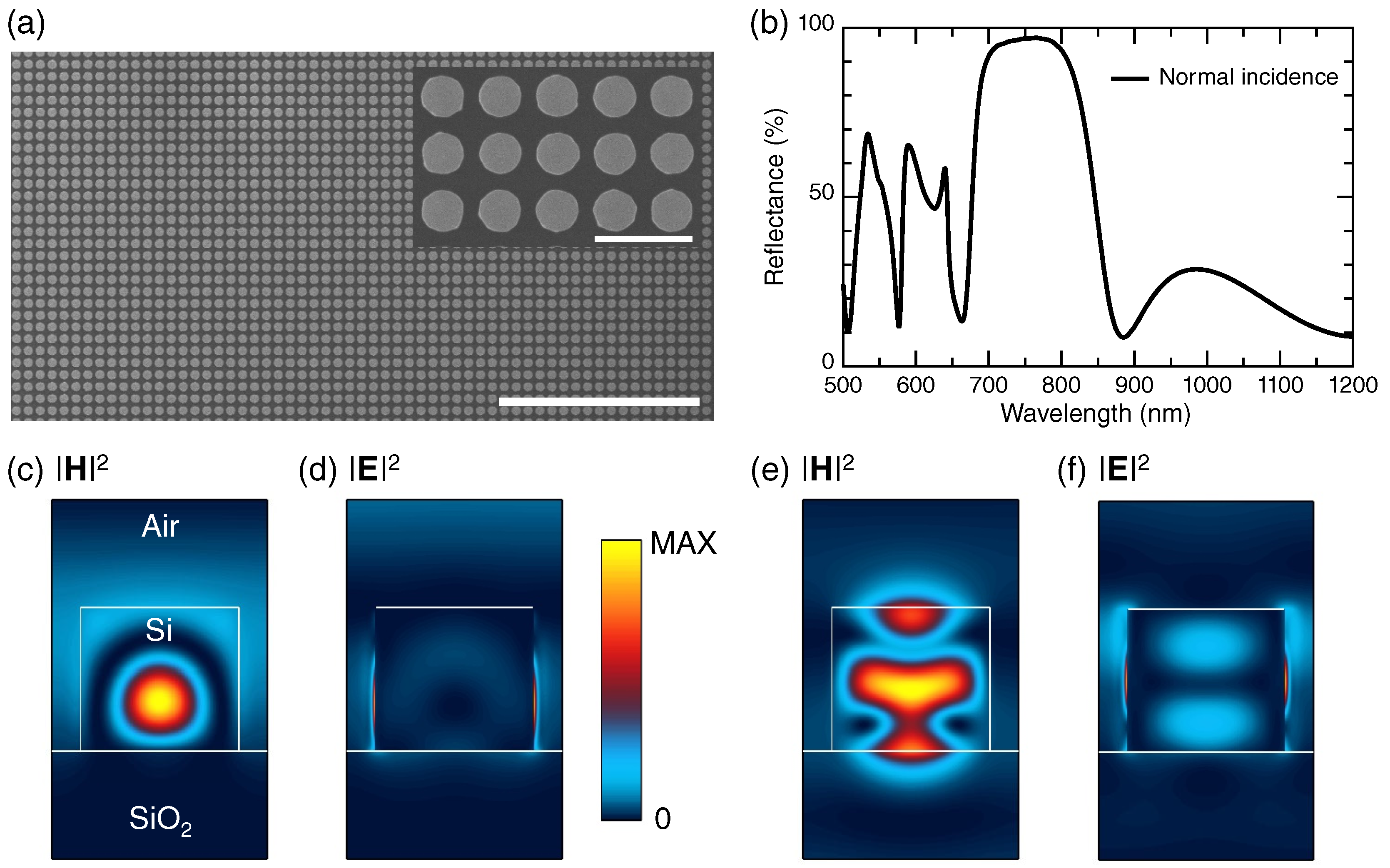 Biosensors 12 00981 g002