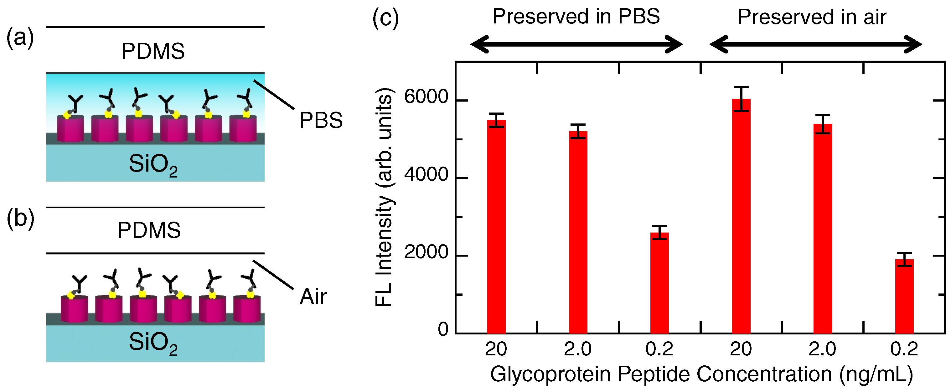 Biosensors 12 00981 g004