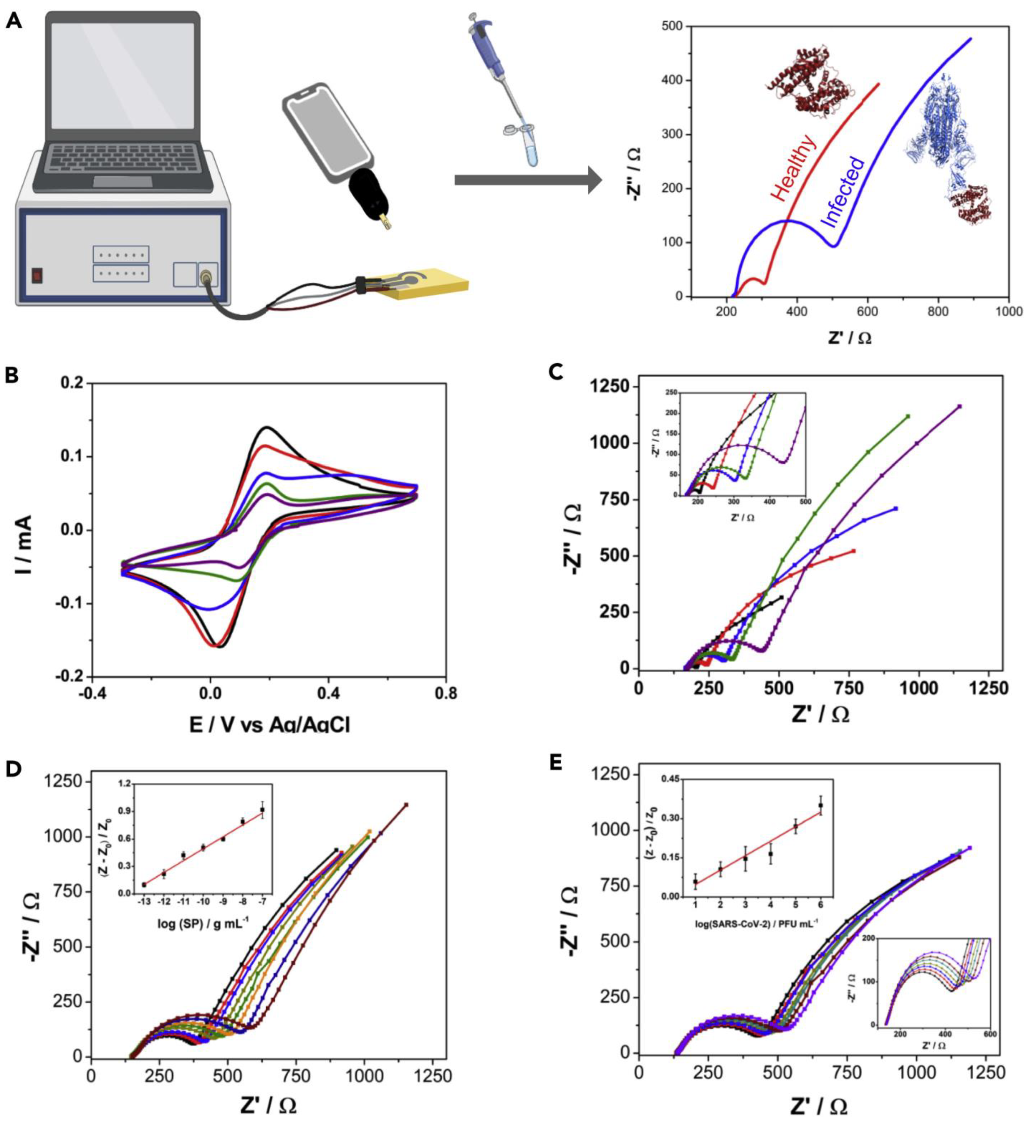 Biosensors 12 00984 g006 Biosensors 12 00984 g006