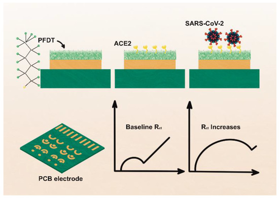 yuu様 Angiotensin-Converting Enzyme 2-Based Biosensing Modalities