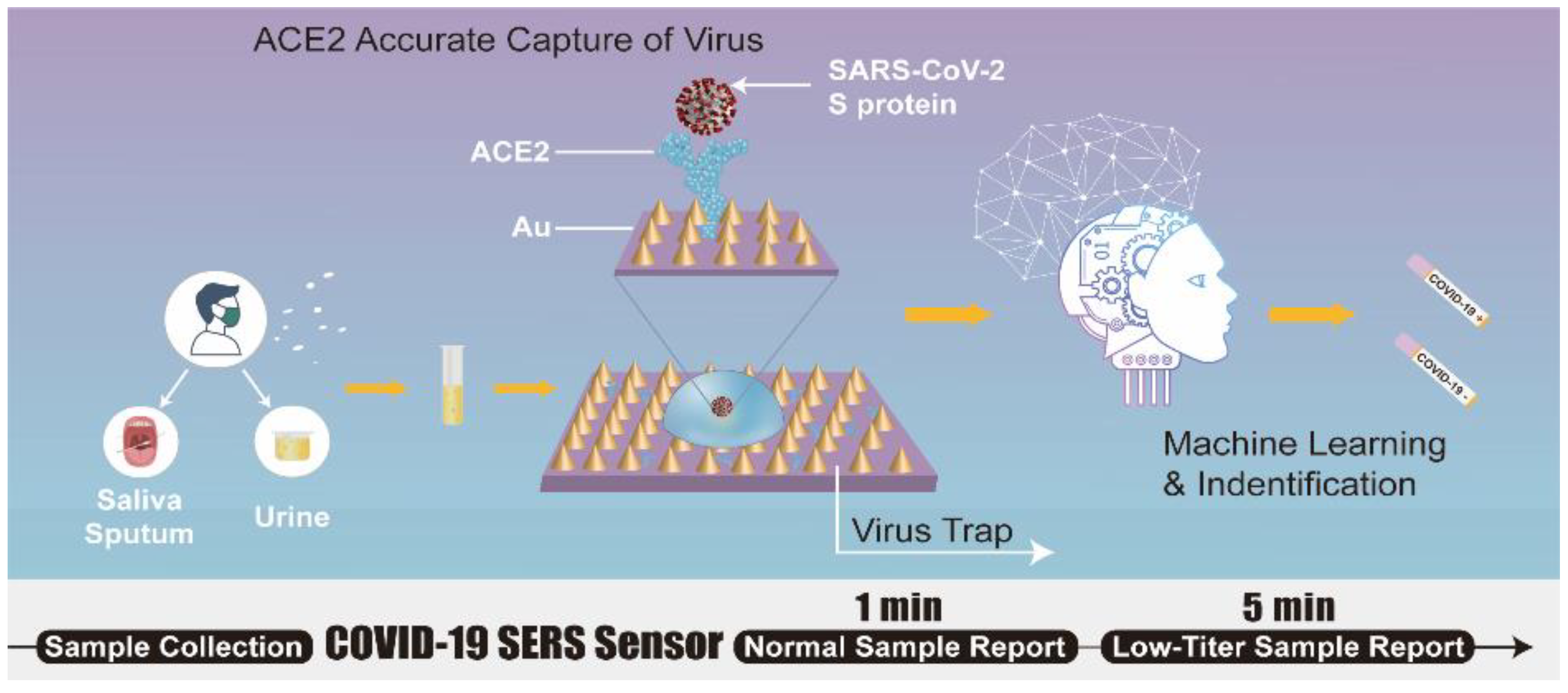 いいネット通販 - 全国送料無料でお届けします Angiotensin-Converting Modalities Biosensing 2-Based Enzyme ウェア