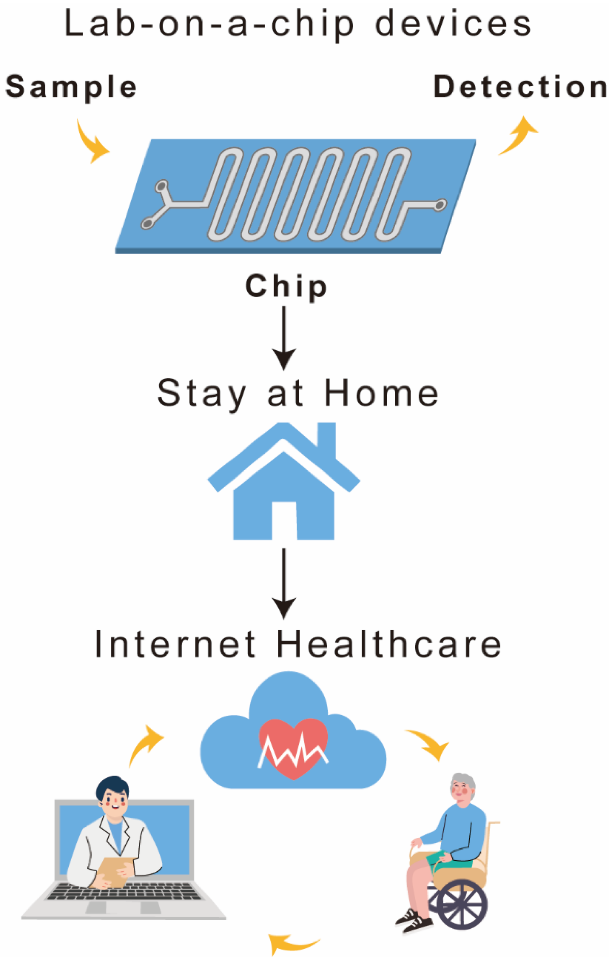 Biosensors 12 00984 g012 Biosensors 12 00984 g012