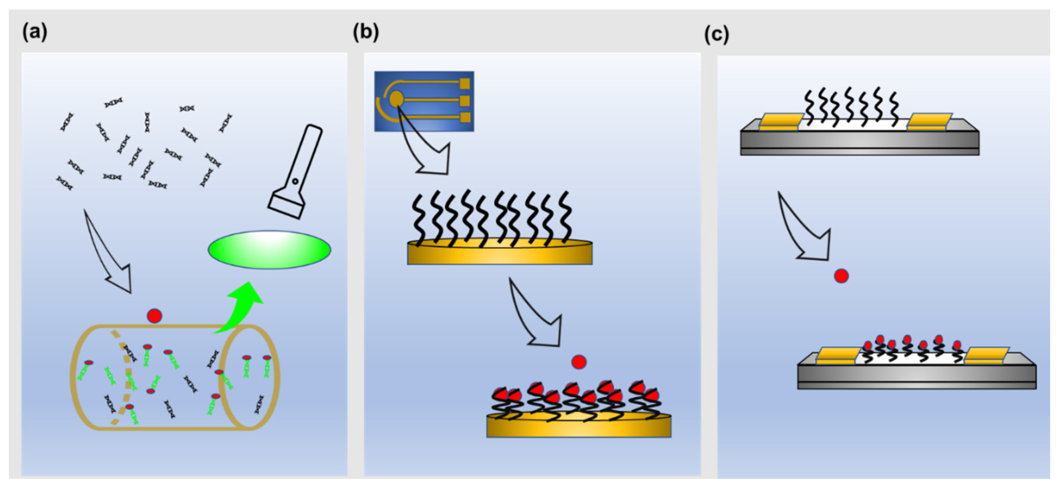Biosensors 12 00986 g004