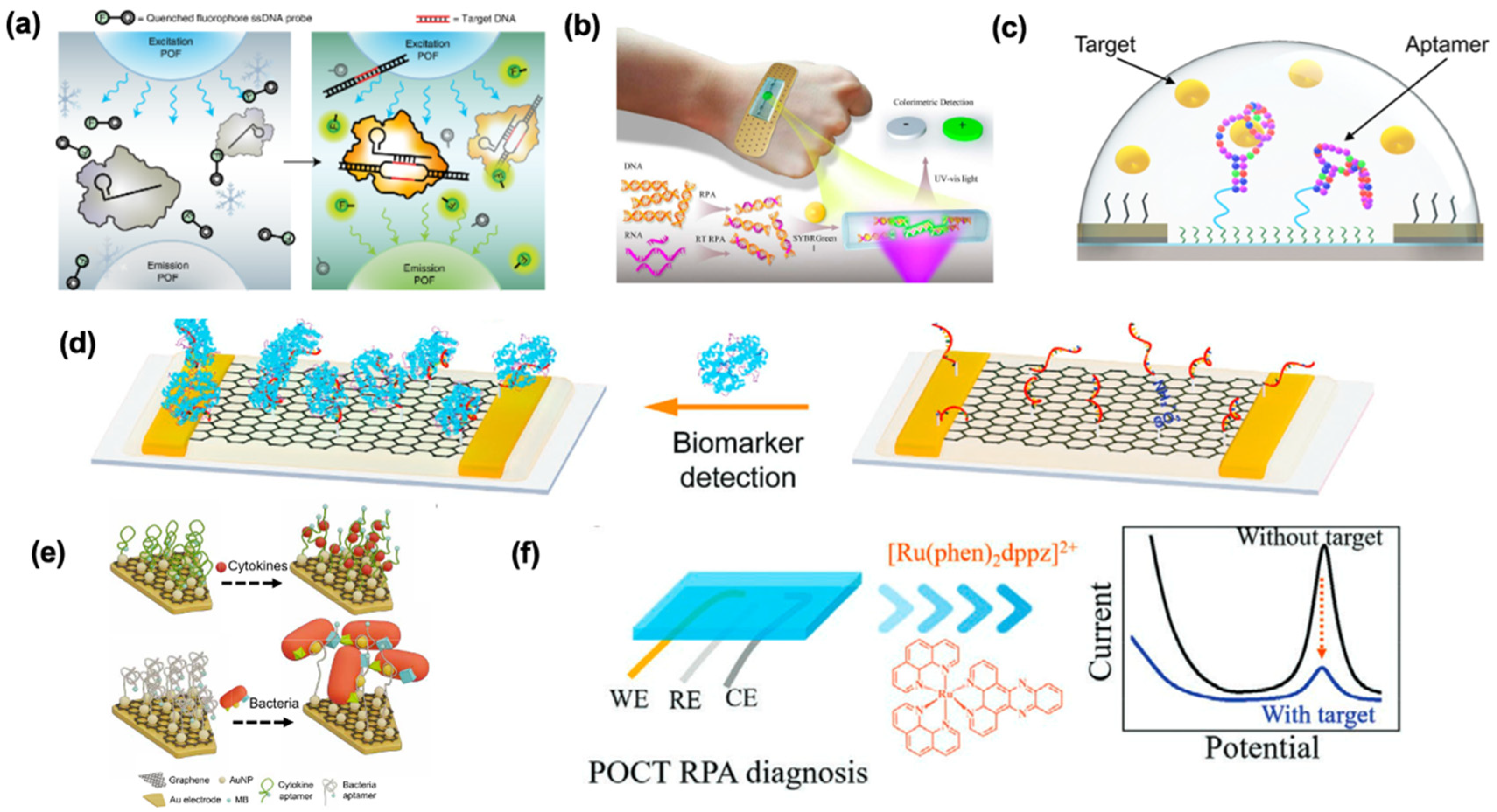 Biosensors 12 00986 g005