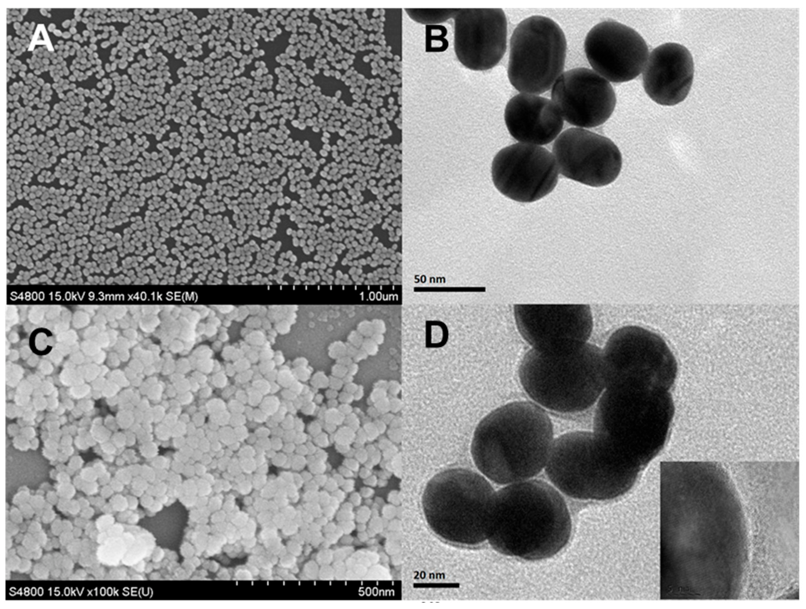 Biosensors 12 00988 g001 Biosensors 12 00988 g001