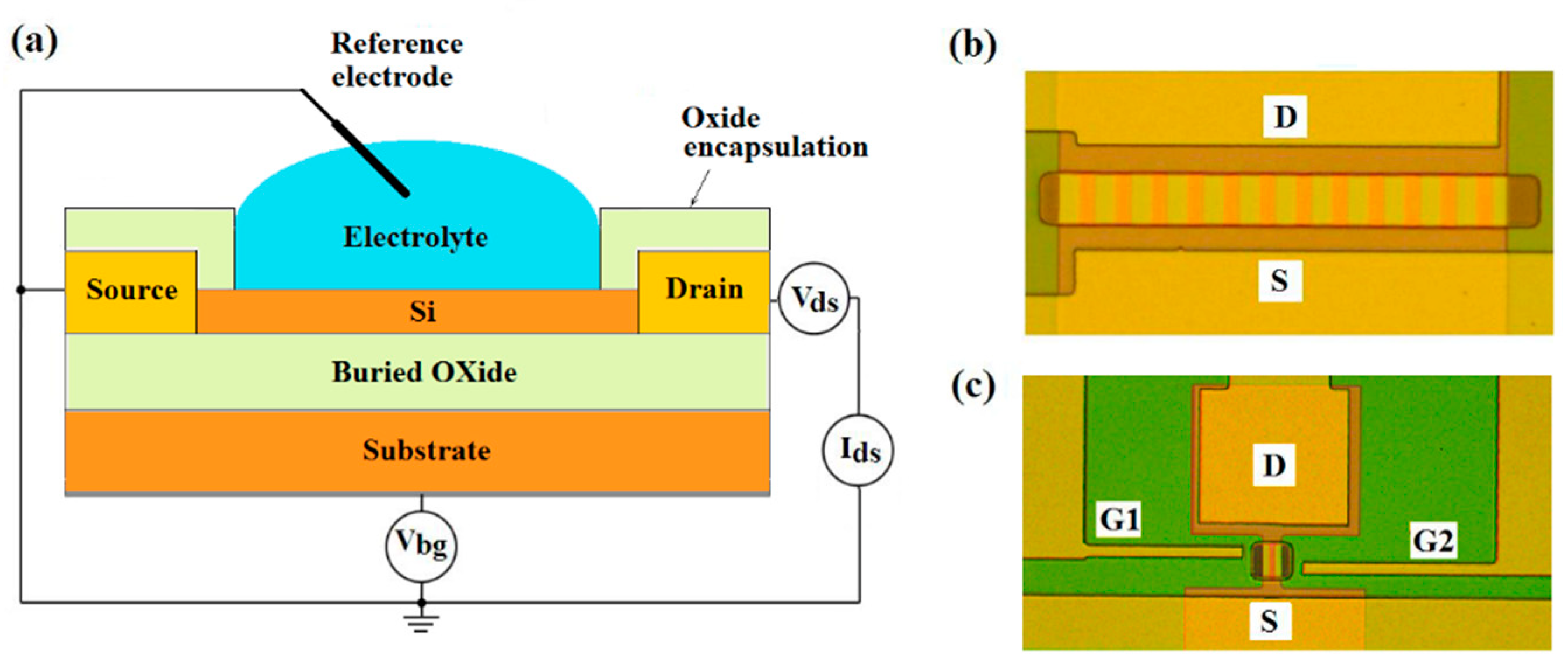 Biosensors 12 00992 g001