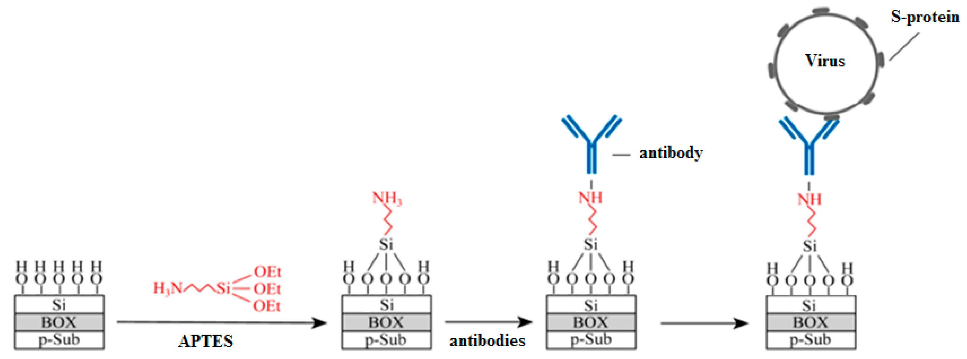 Biosensors 12 00992 g002
