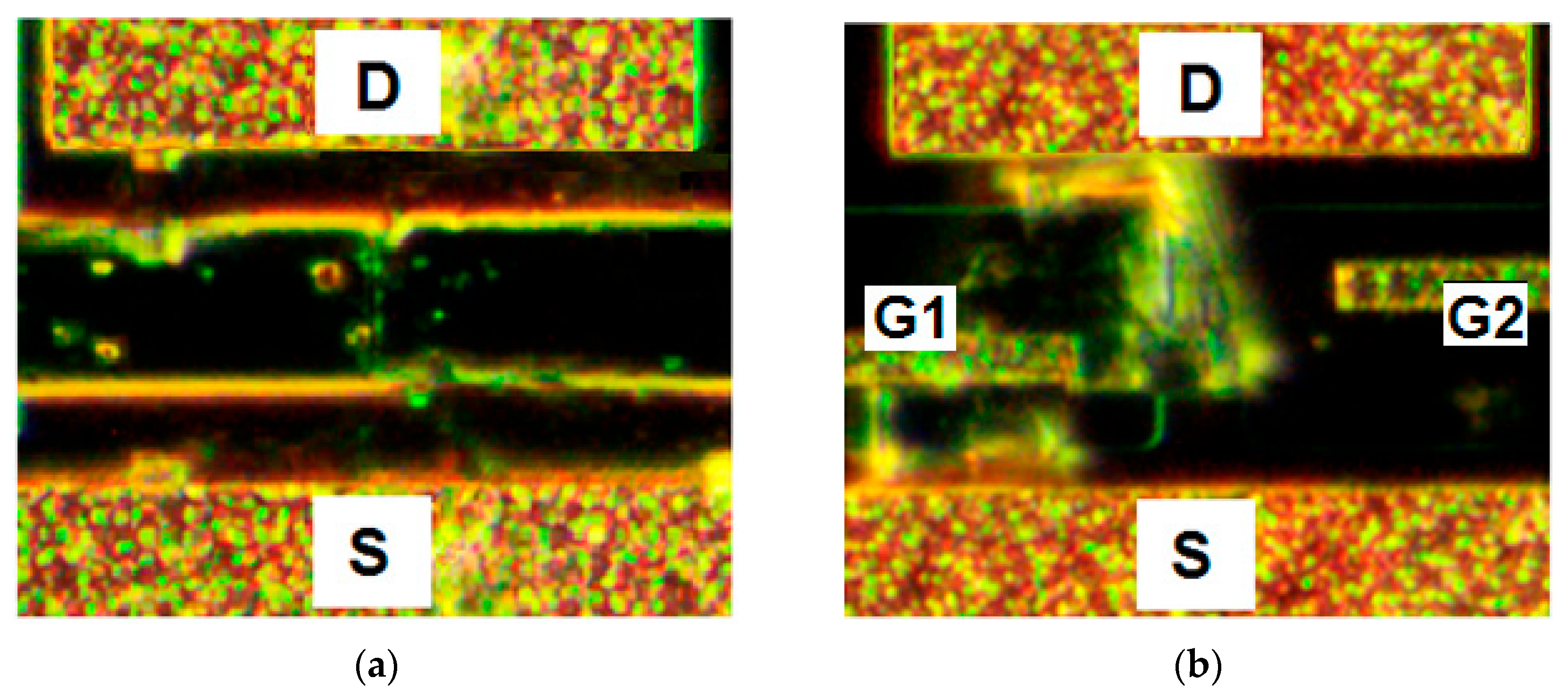 Biosensors 12 00992 g007