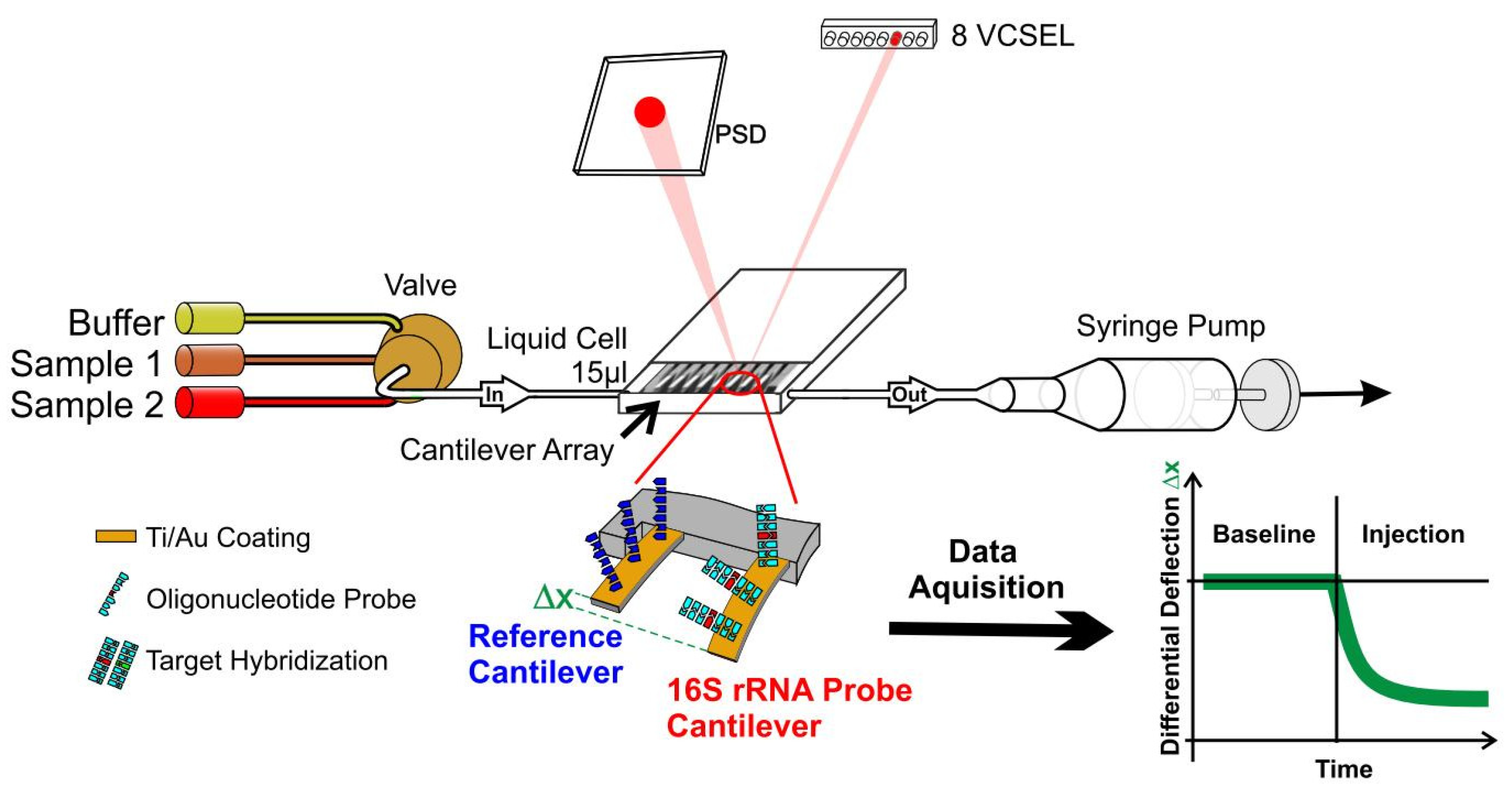 Biosensors 12 00994 g001 Biosensors 12 00994 g001