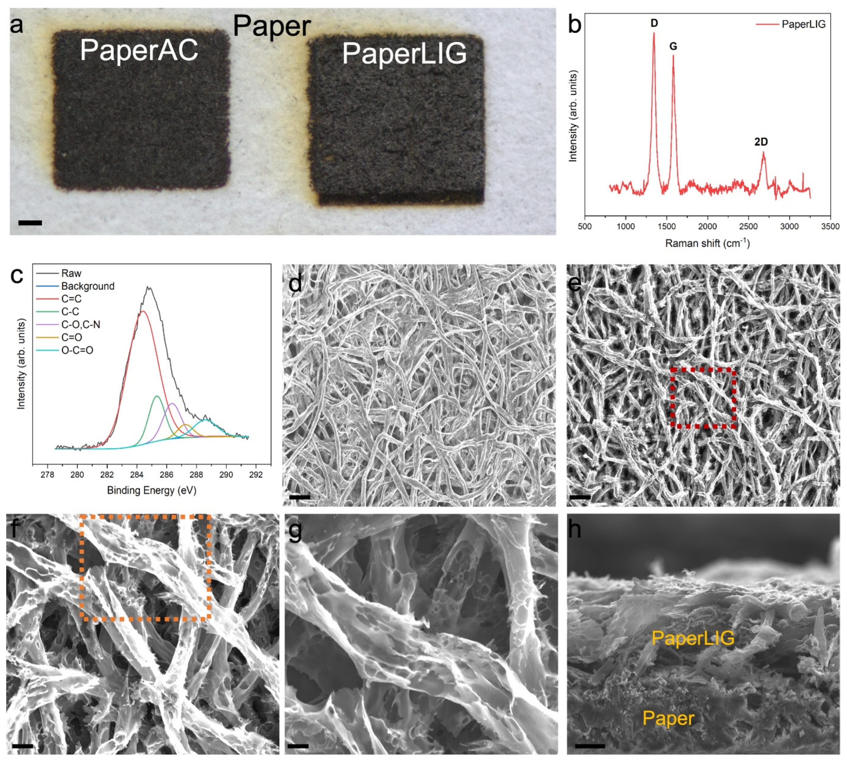 Biosensors 12 00995 g002 Biosensors 12 00995 g002