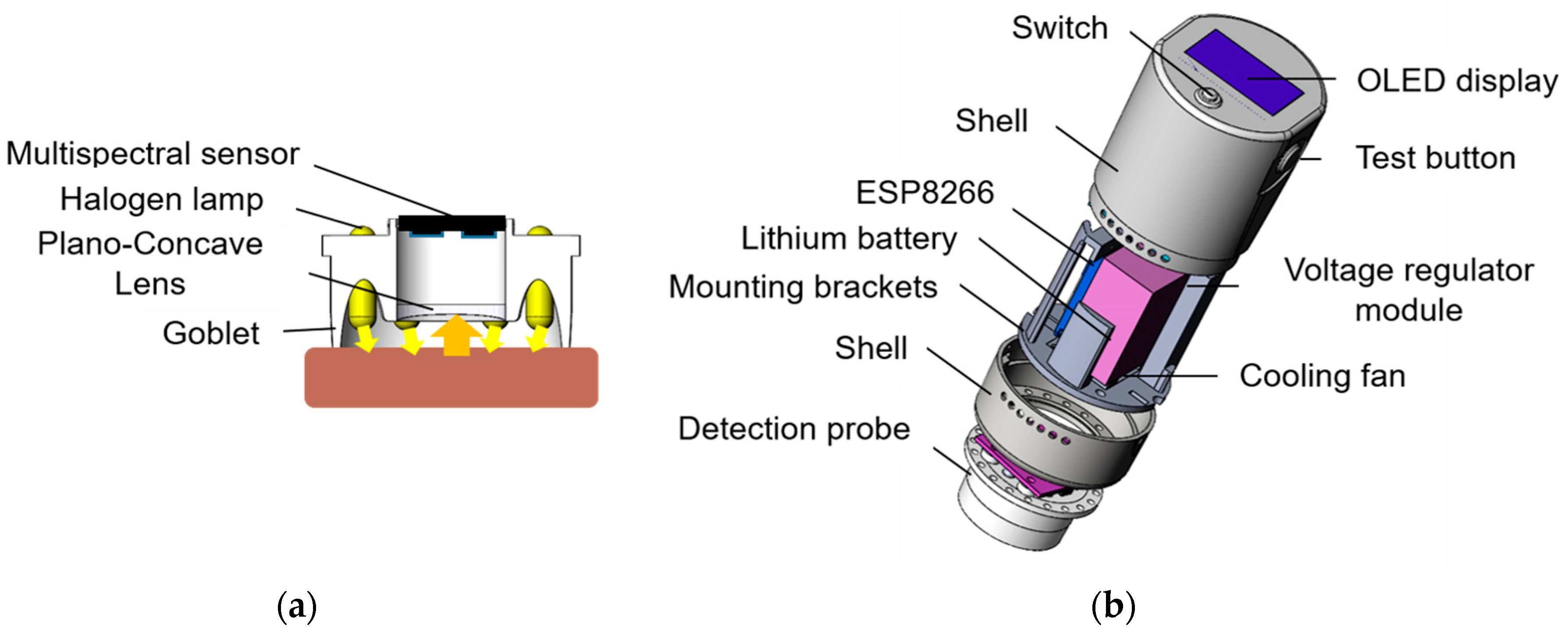 Biosensors 12 00998 g001