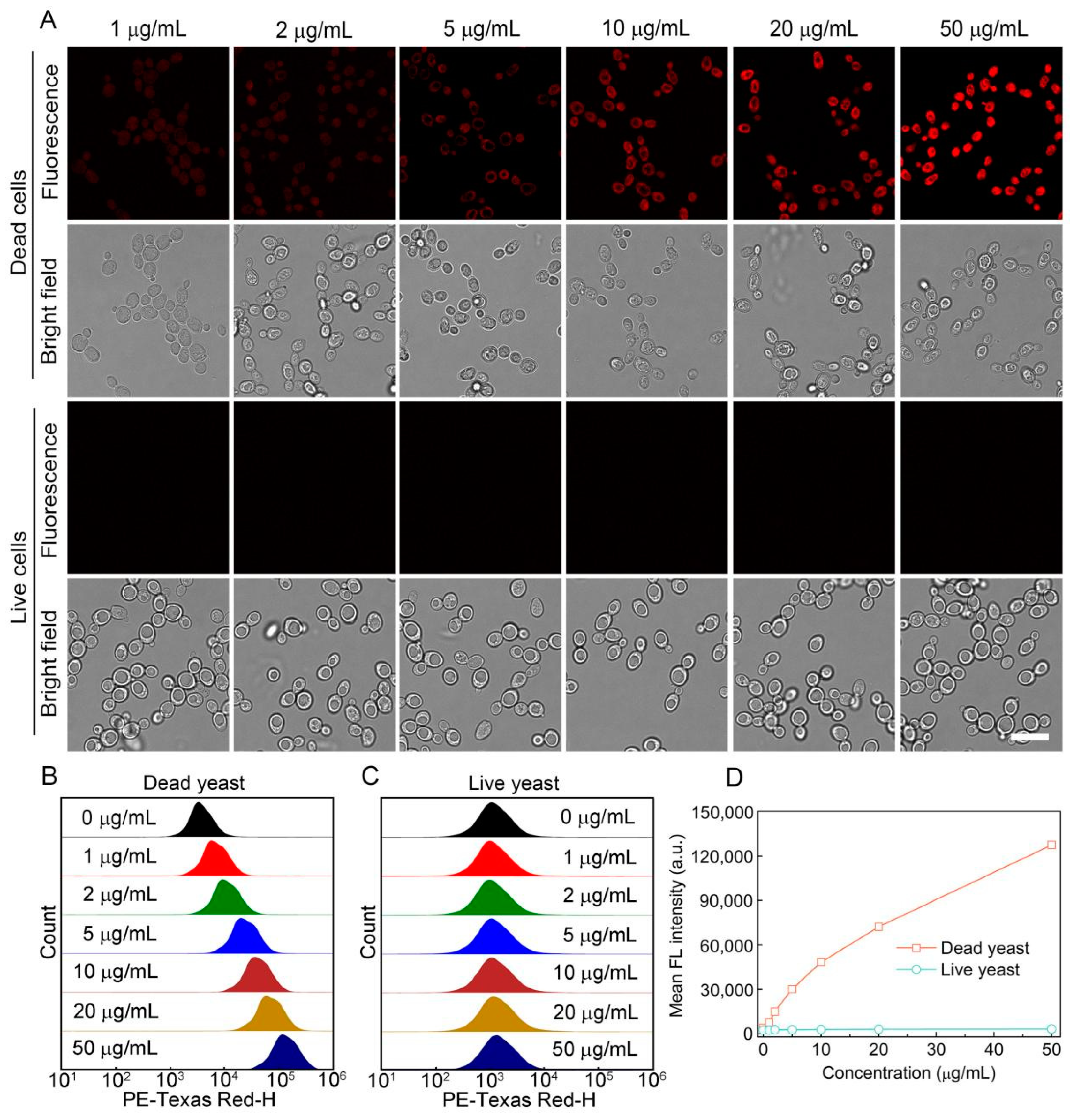 Biosensors 12 01000 g005 Biosensors 12 01000 g005