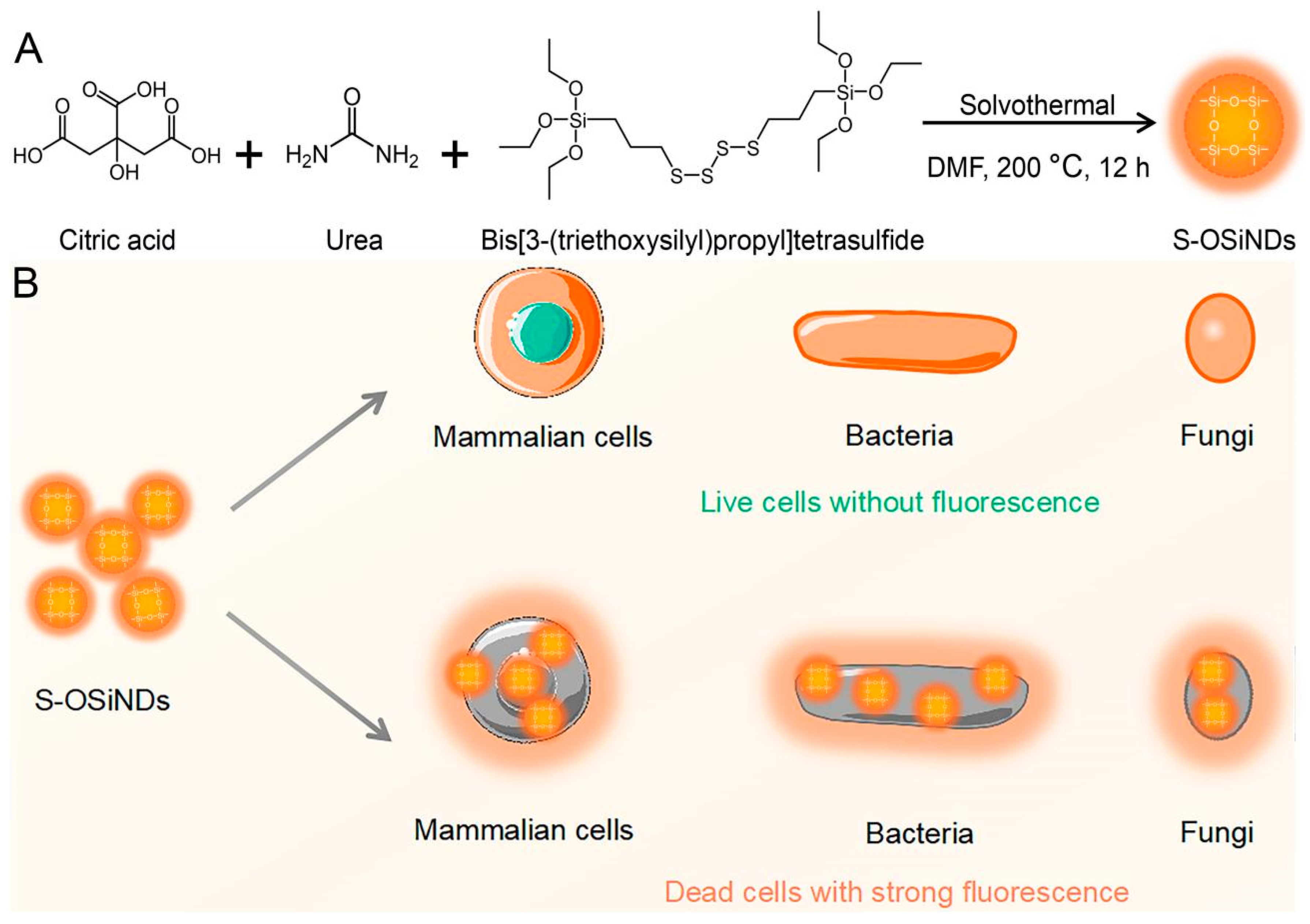 Biosensors 12 01000 sch001 Biosensors 12 01000 sch001