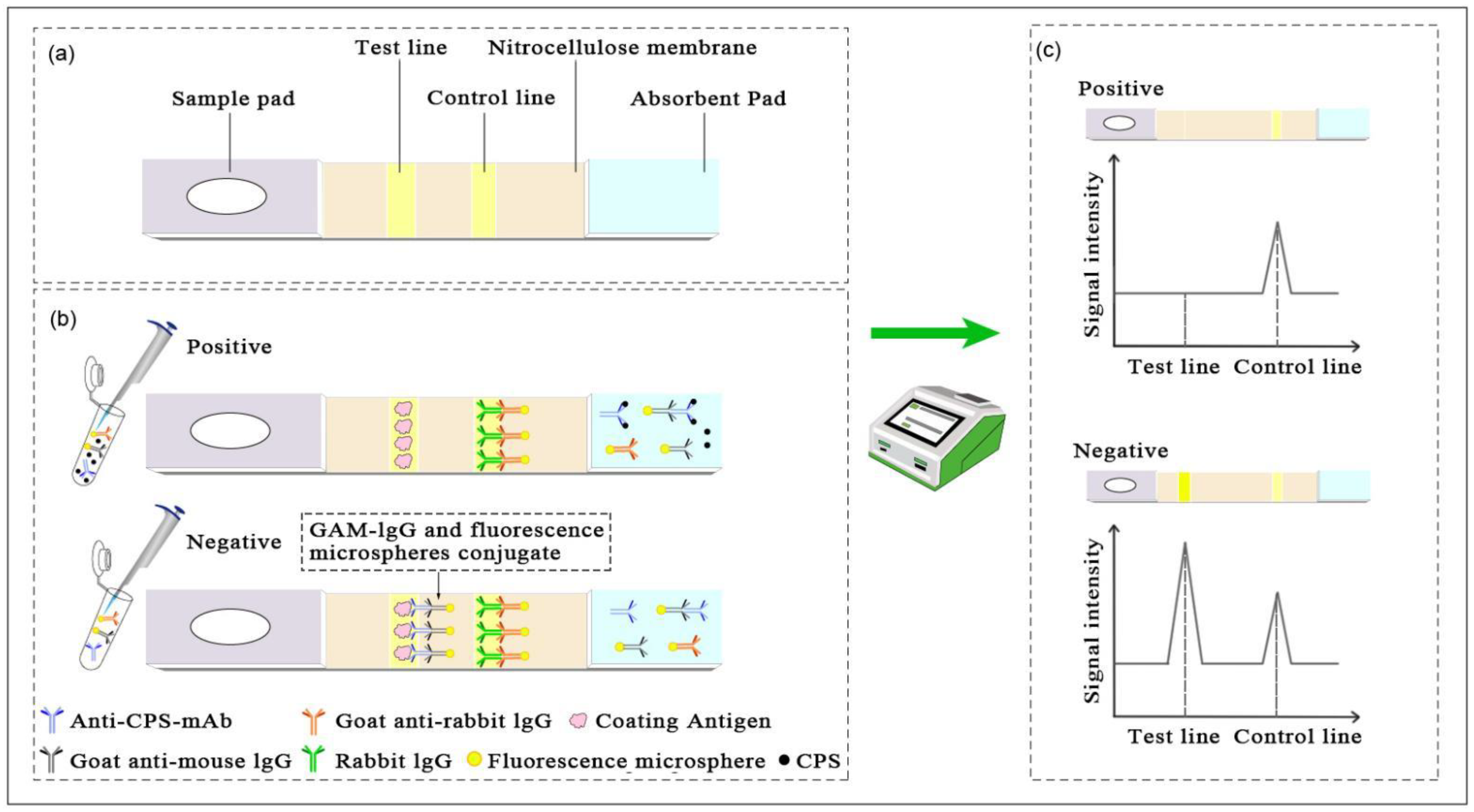 Biosensors 12 01006 sch001 Biosensors 12 01006 sch001
