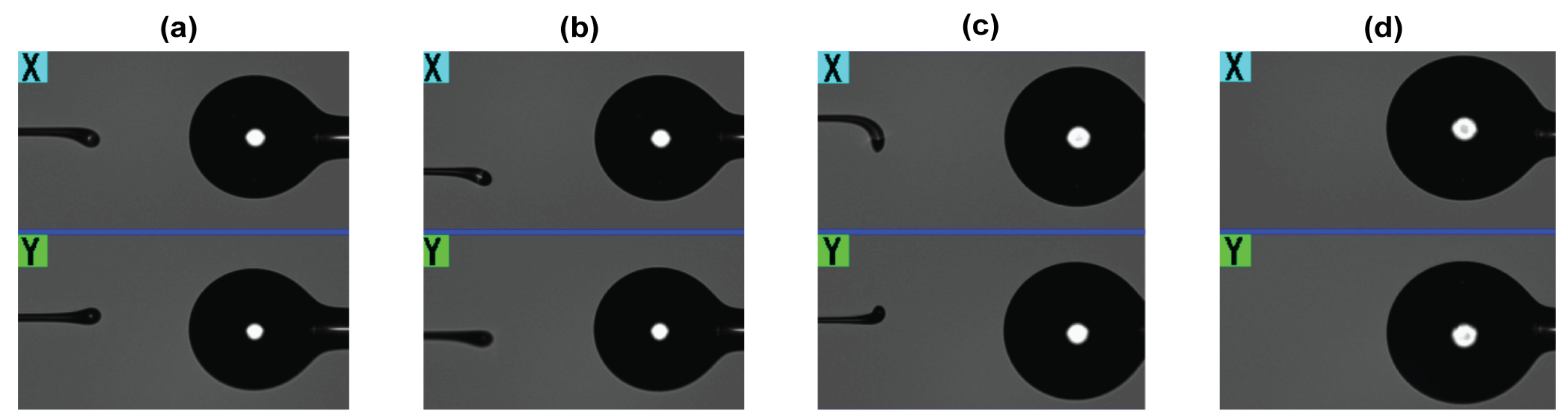 Biosensors 12 01007 g002 Biosensors 12 01007 g002