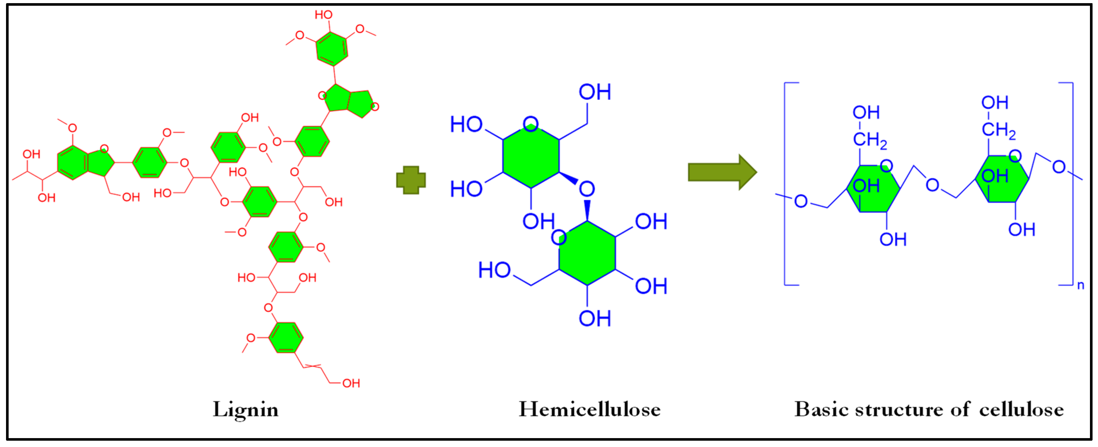 Biosensors 12 01008 g001 Biosensors 12 01008 g001