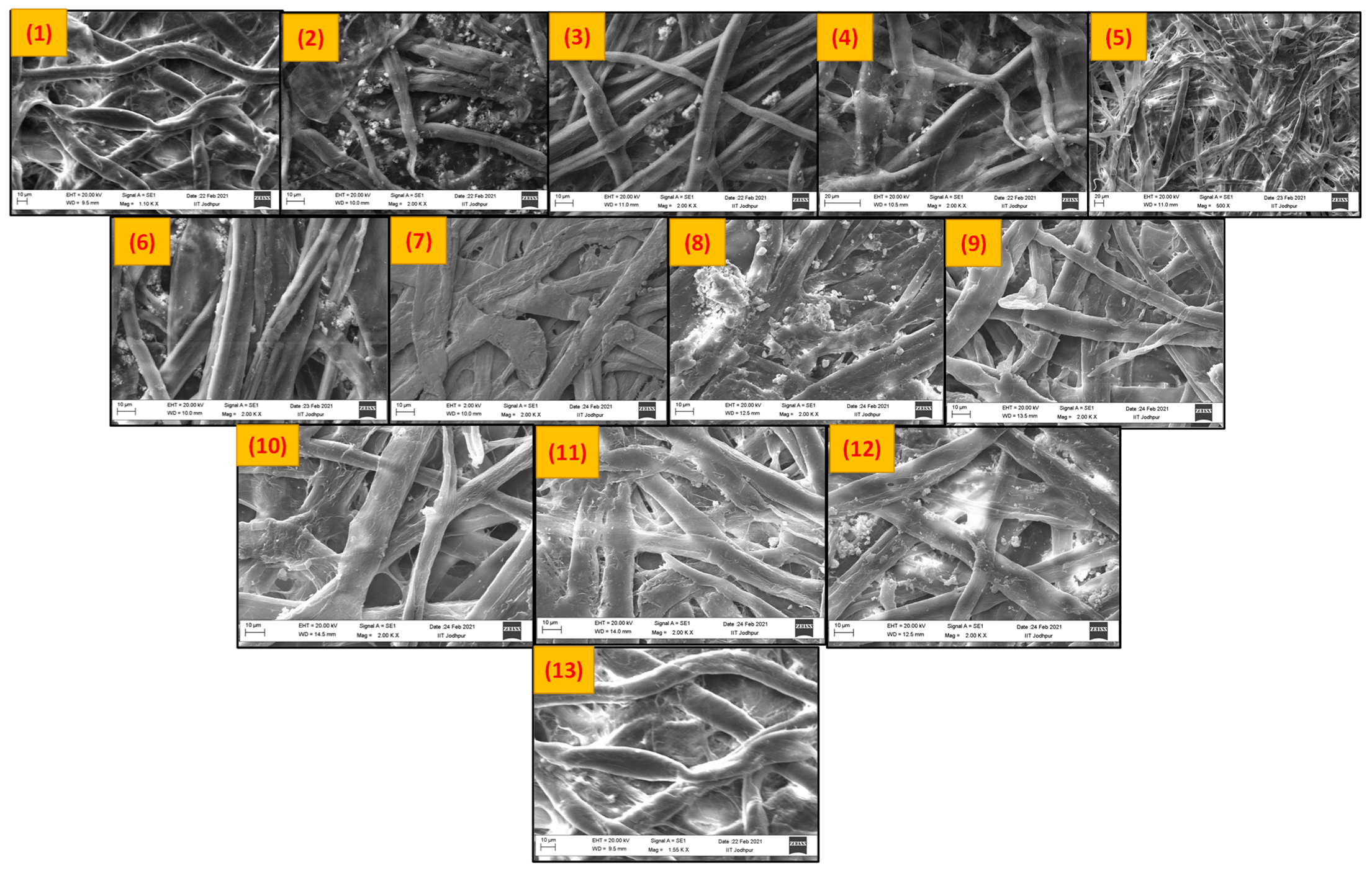 Biosensors 12 01008 g002 Biosensors 12 01008 g002