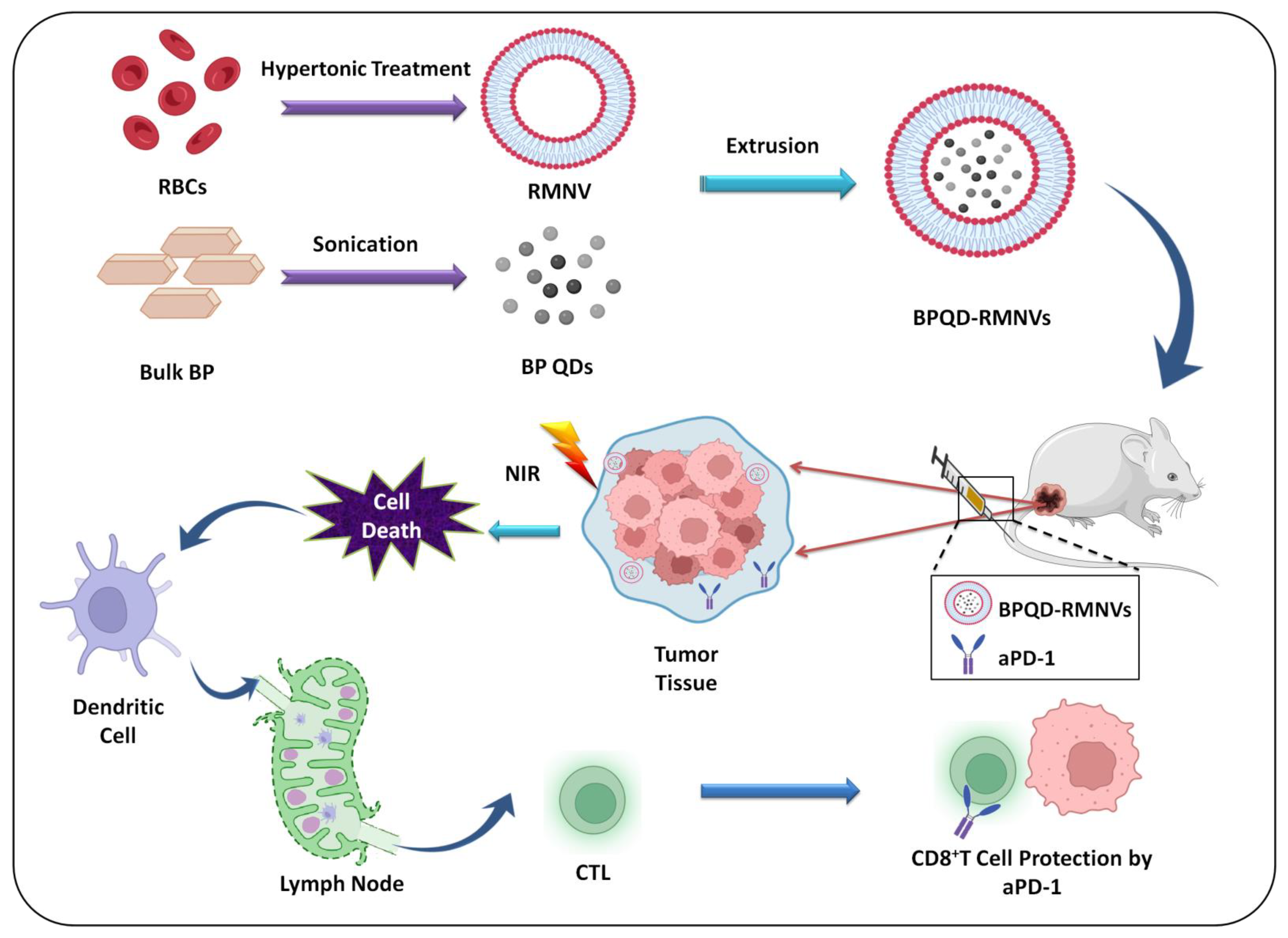Biosensors 12 01009 g004 Biosensors 12 01009 g004