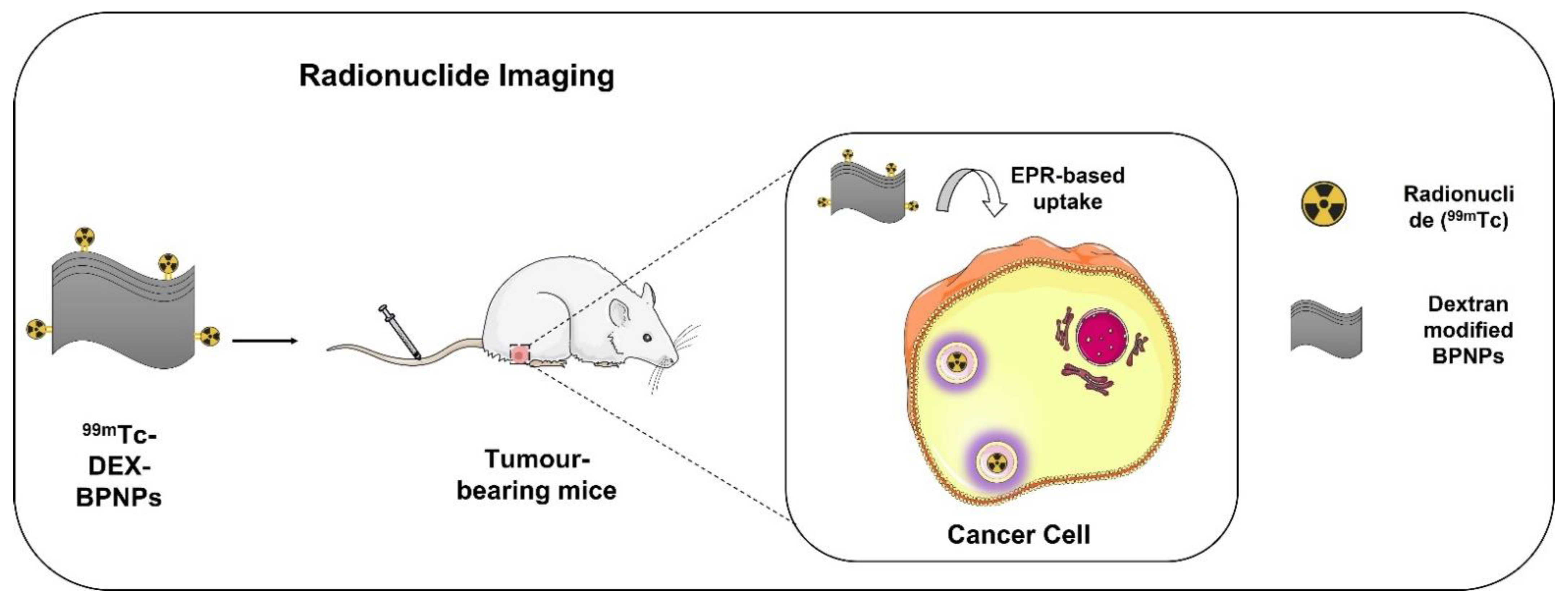 Biosensors 12 01009 g005 Biosensors 12 01009 g005