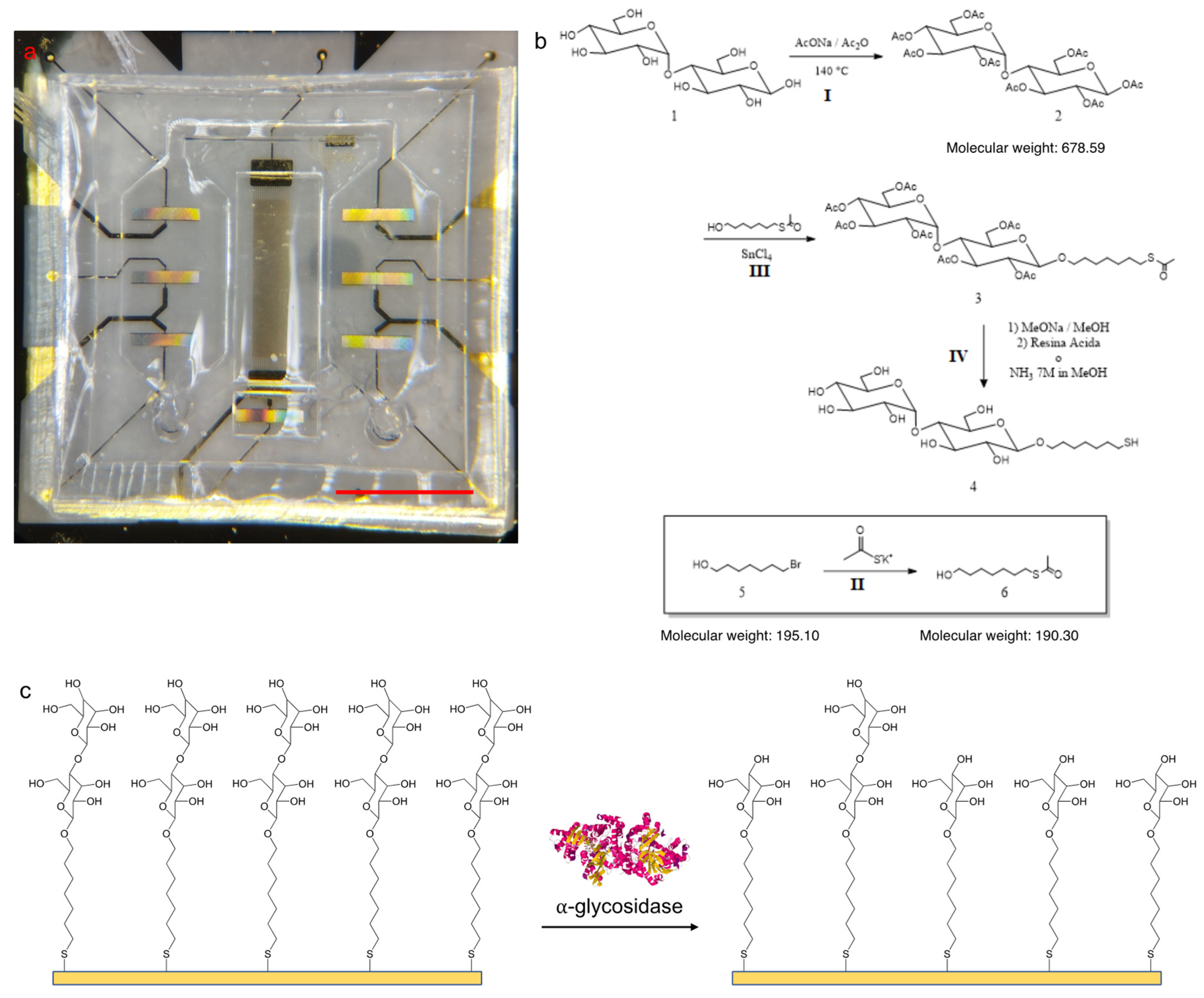 Biosensors 12 01010 g001 Biosensors 12 01010 g001