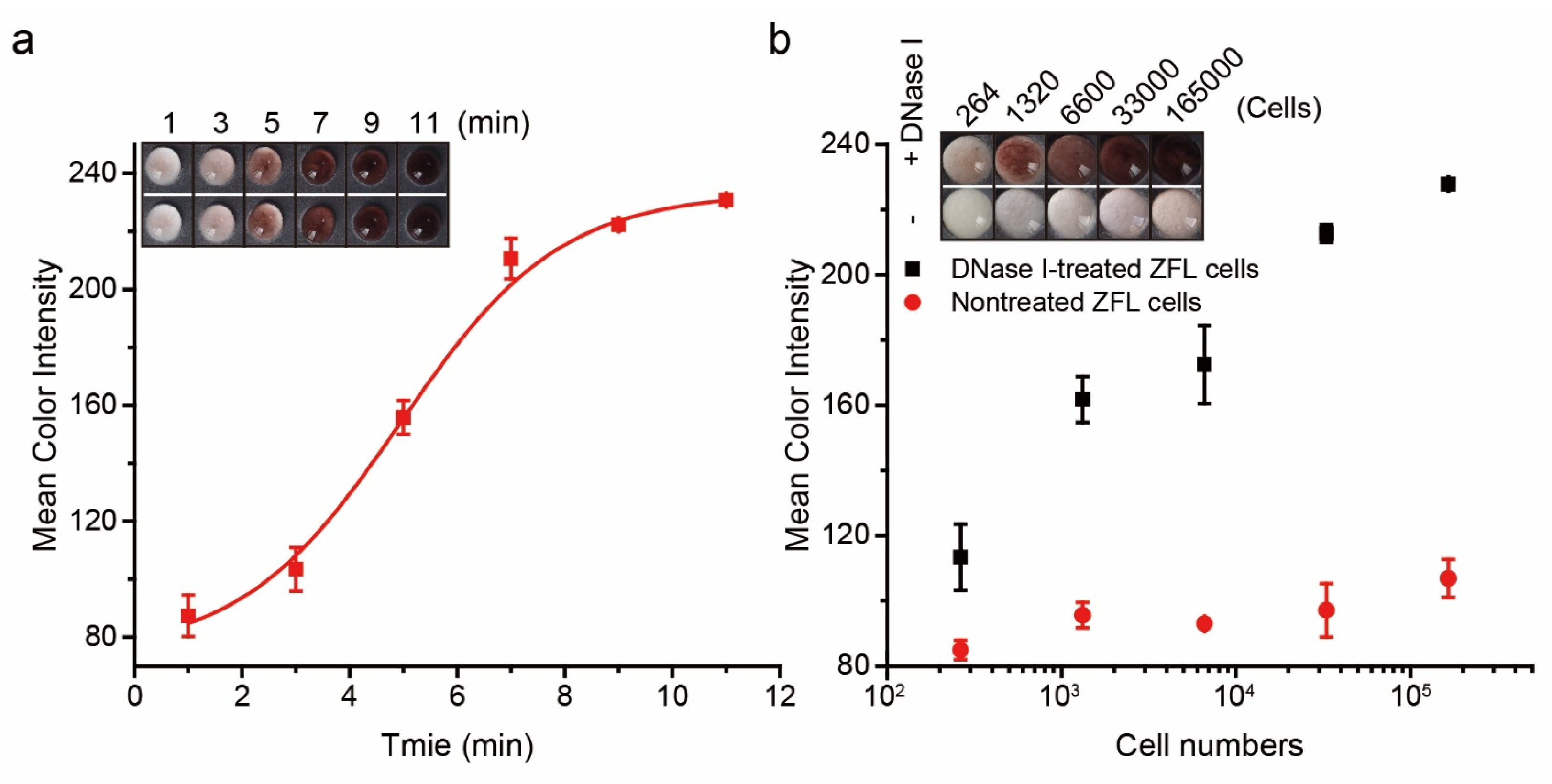 Biosensors 12 01012 g003 Biosensors 12 01012 g003