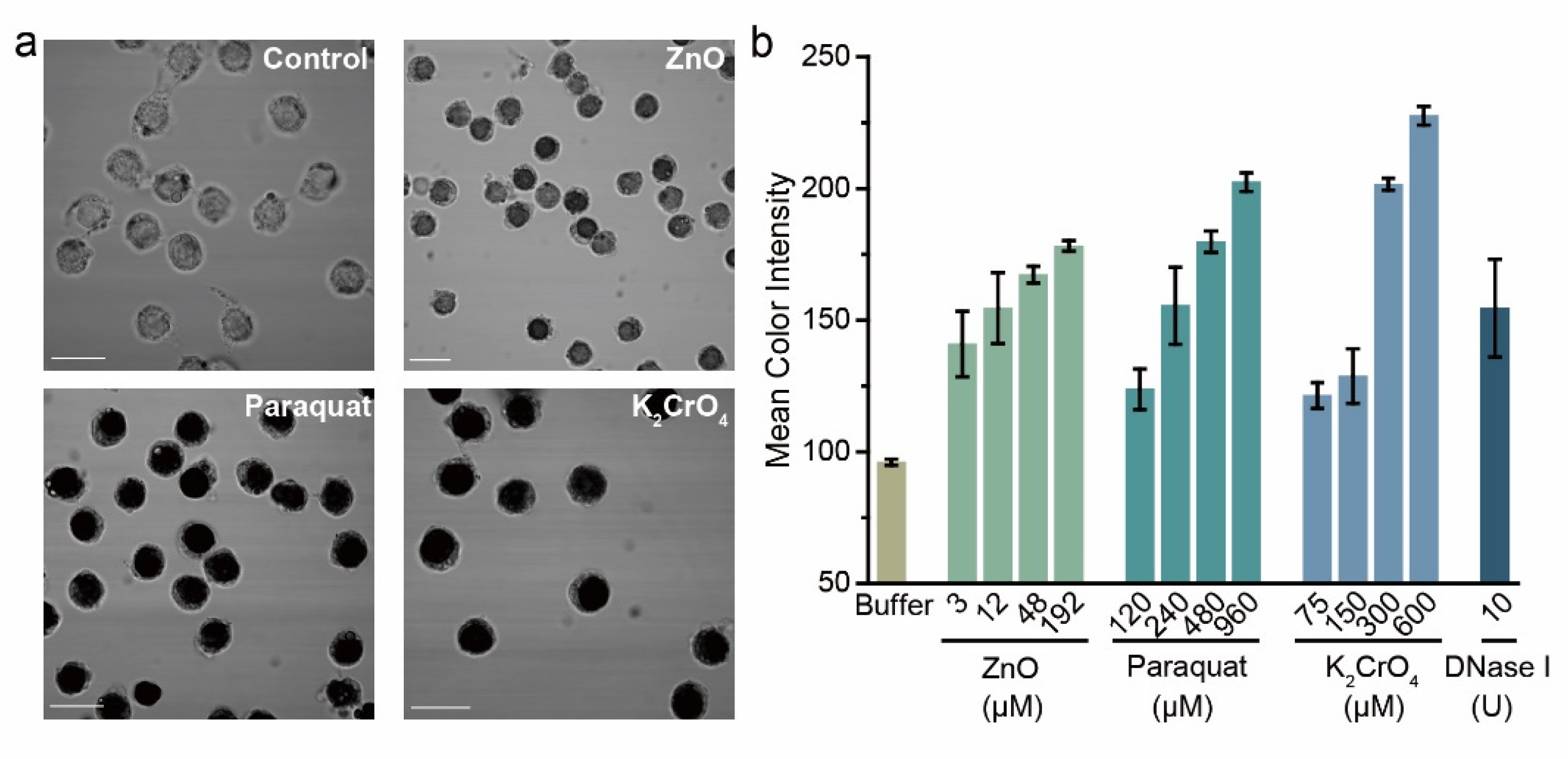 Biosensors 12 01012 g004 Biosensors 12 01012 g004