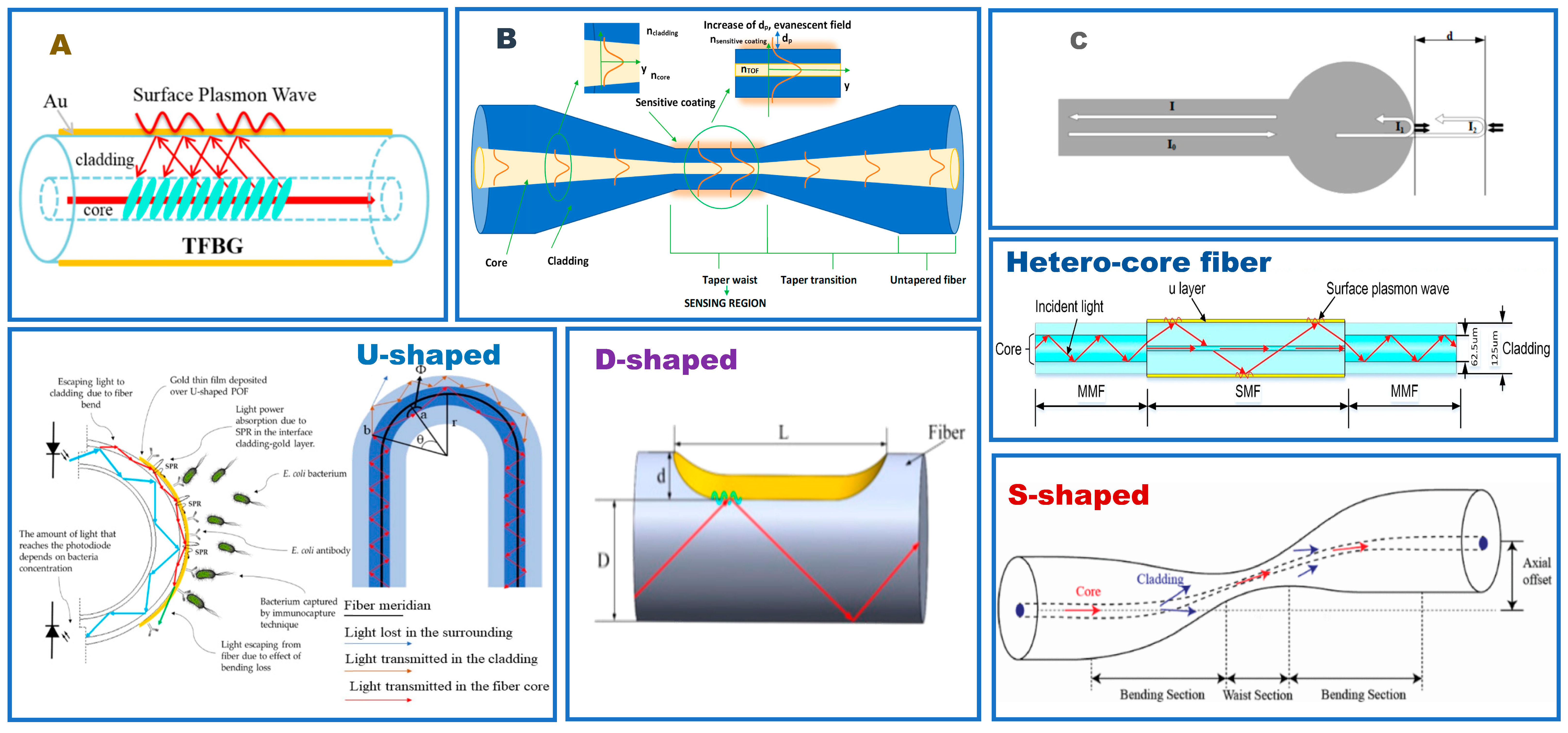 Biosensors 12 01016 g003