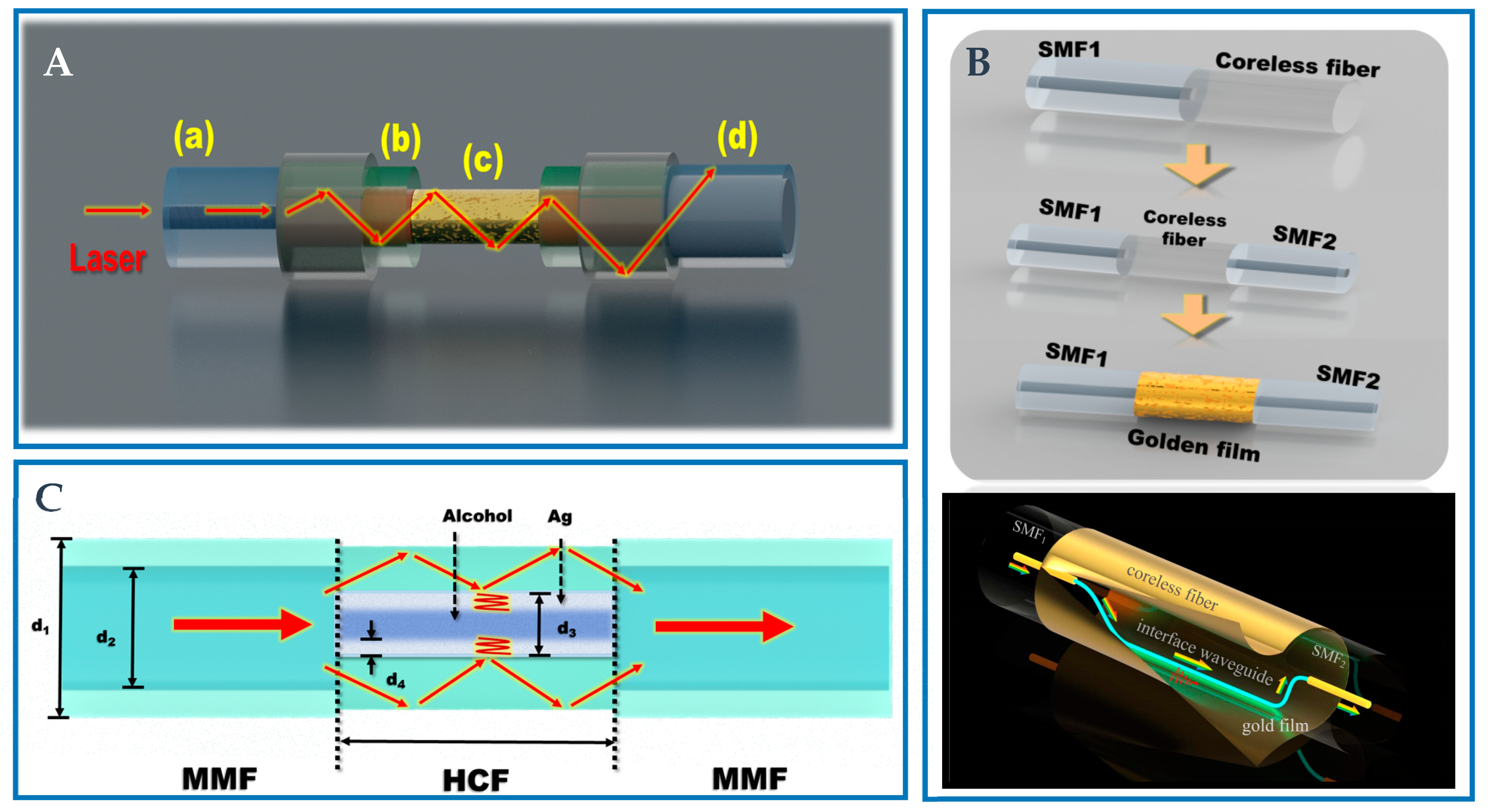 Biosensors 12 01016 g006