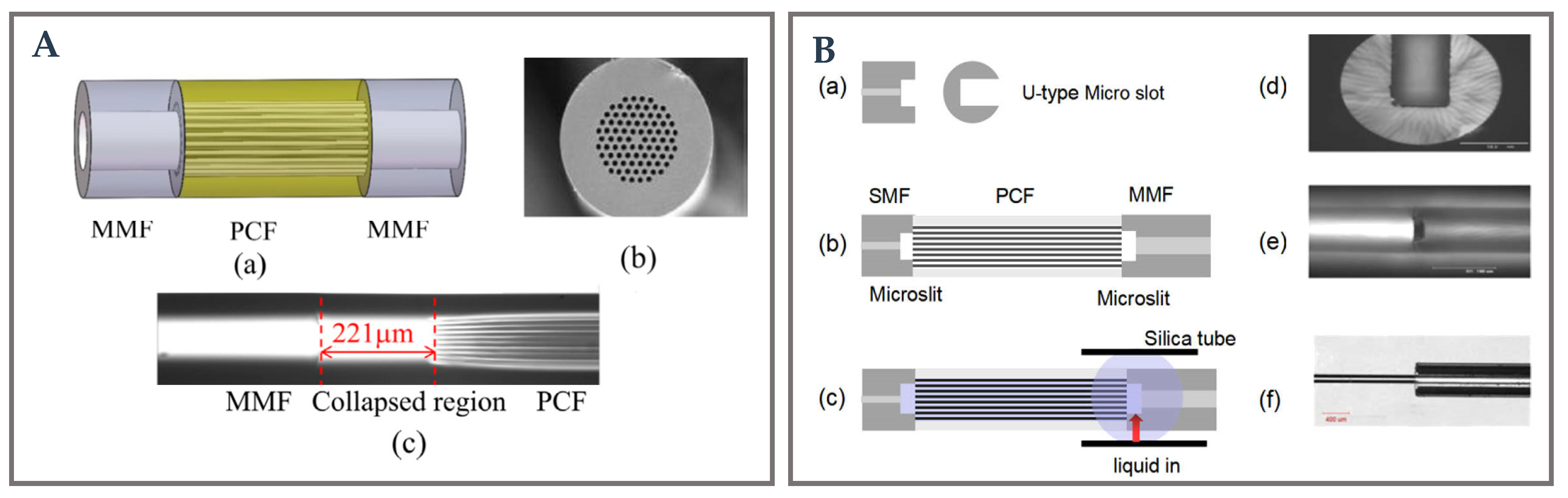 Biosensors 12 01016 g007