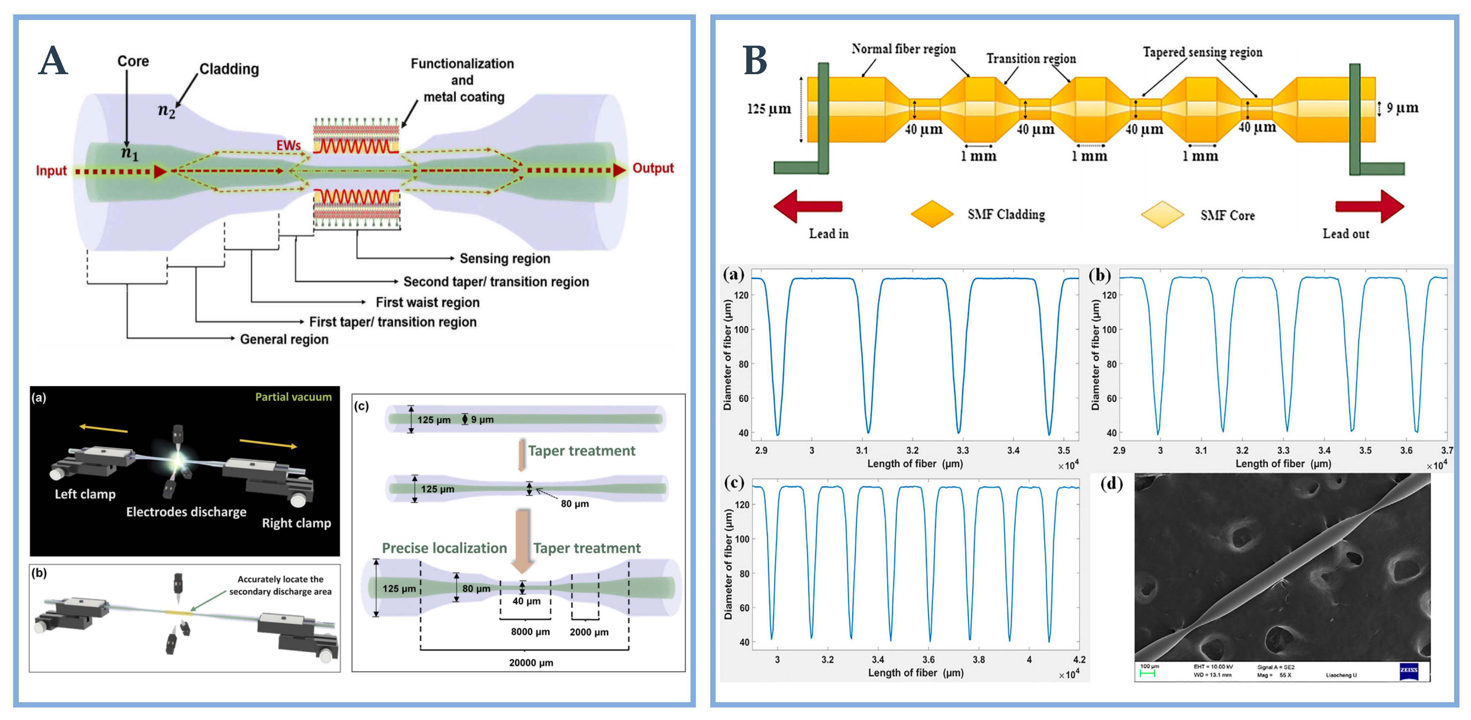 Biosensors 12 01016 g008