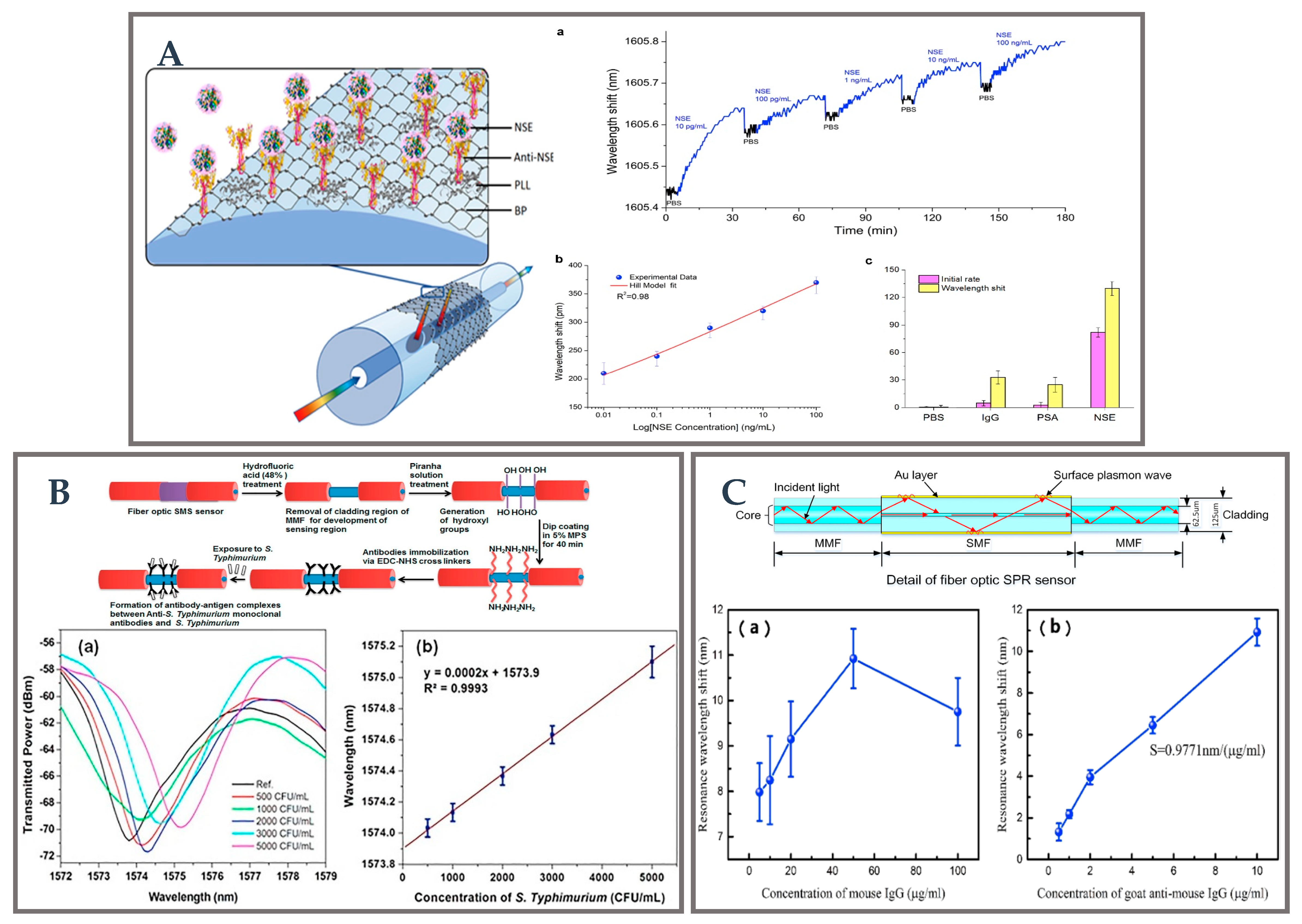 Biosensors 12 01016 g011