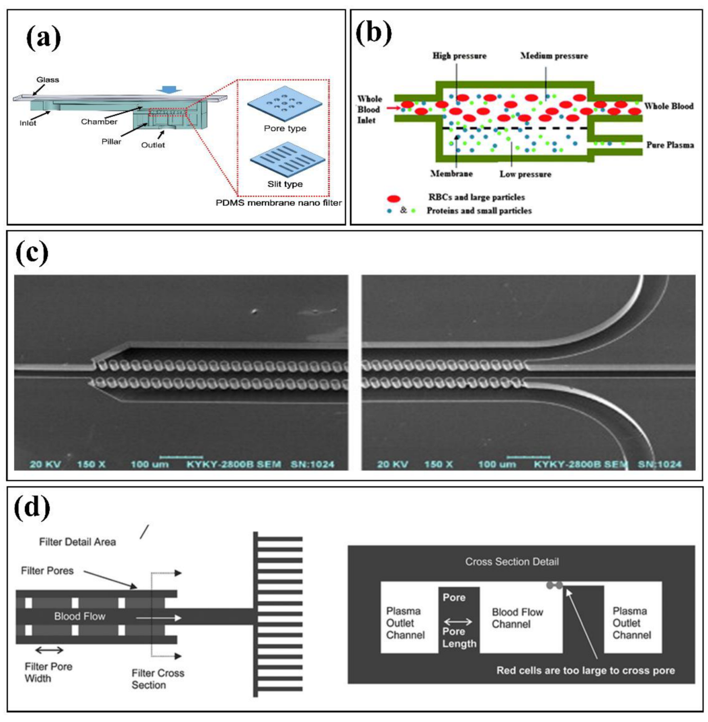 Biosensors 12 01023 g002