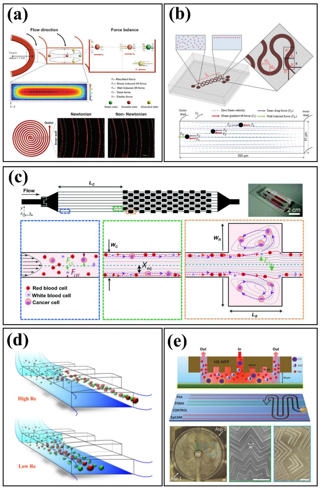 Biosensors 12 01023 g003