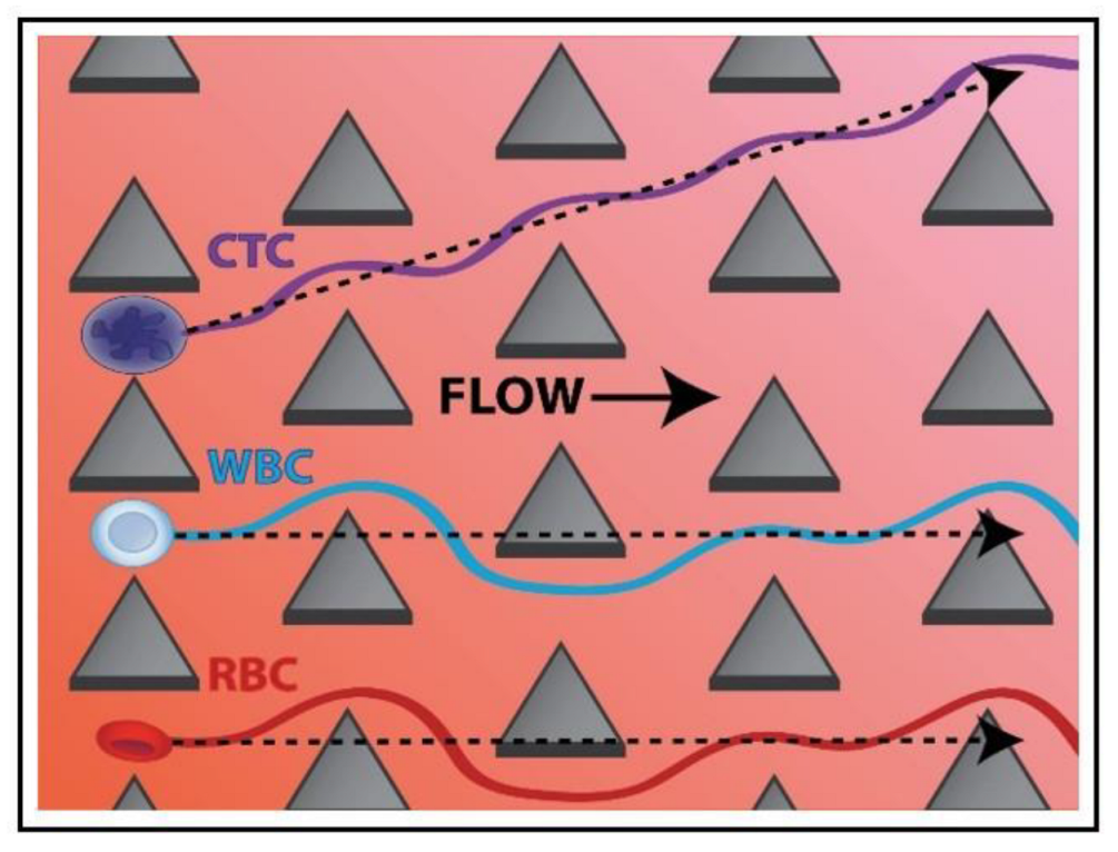 Biosensors 12 01023 g004