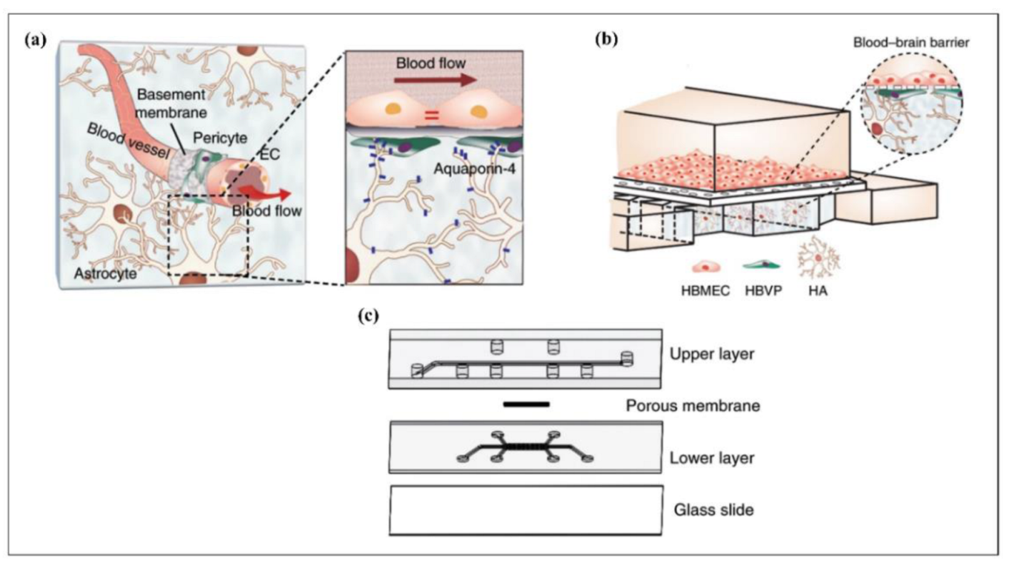 Biosensors 12 01023 g015