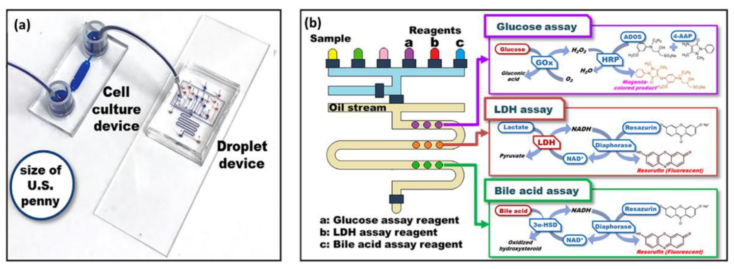 Biosensors 12 01023 g019