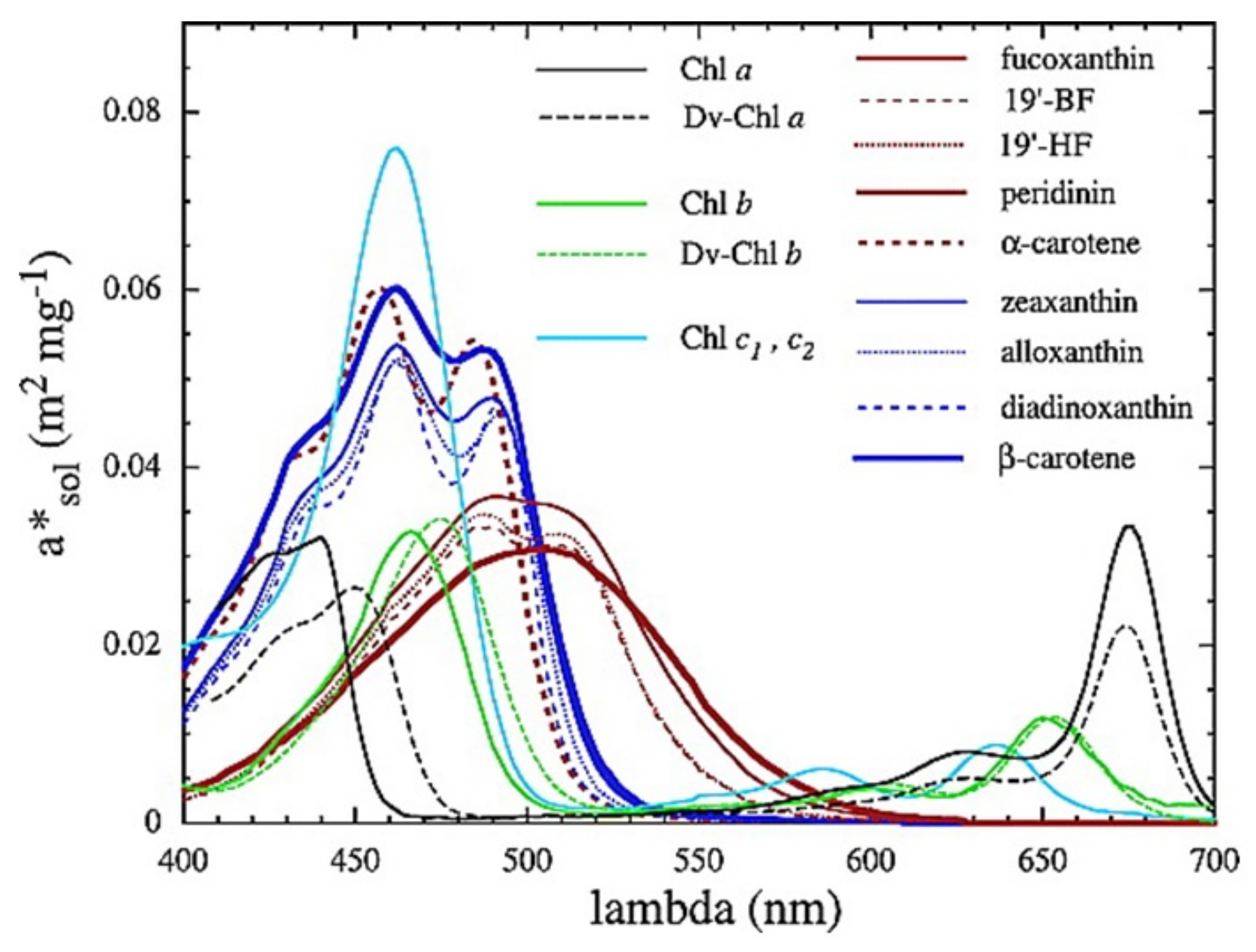 Biosensors 12 01024 g001 Biosensors 12 01024 g001
