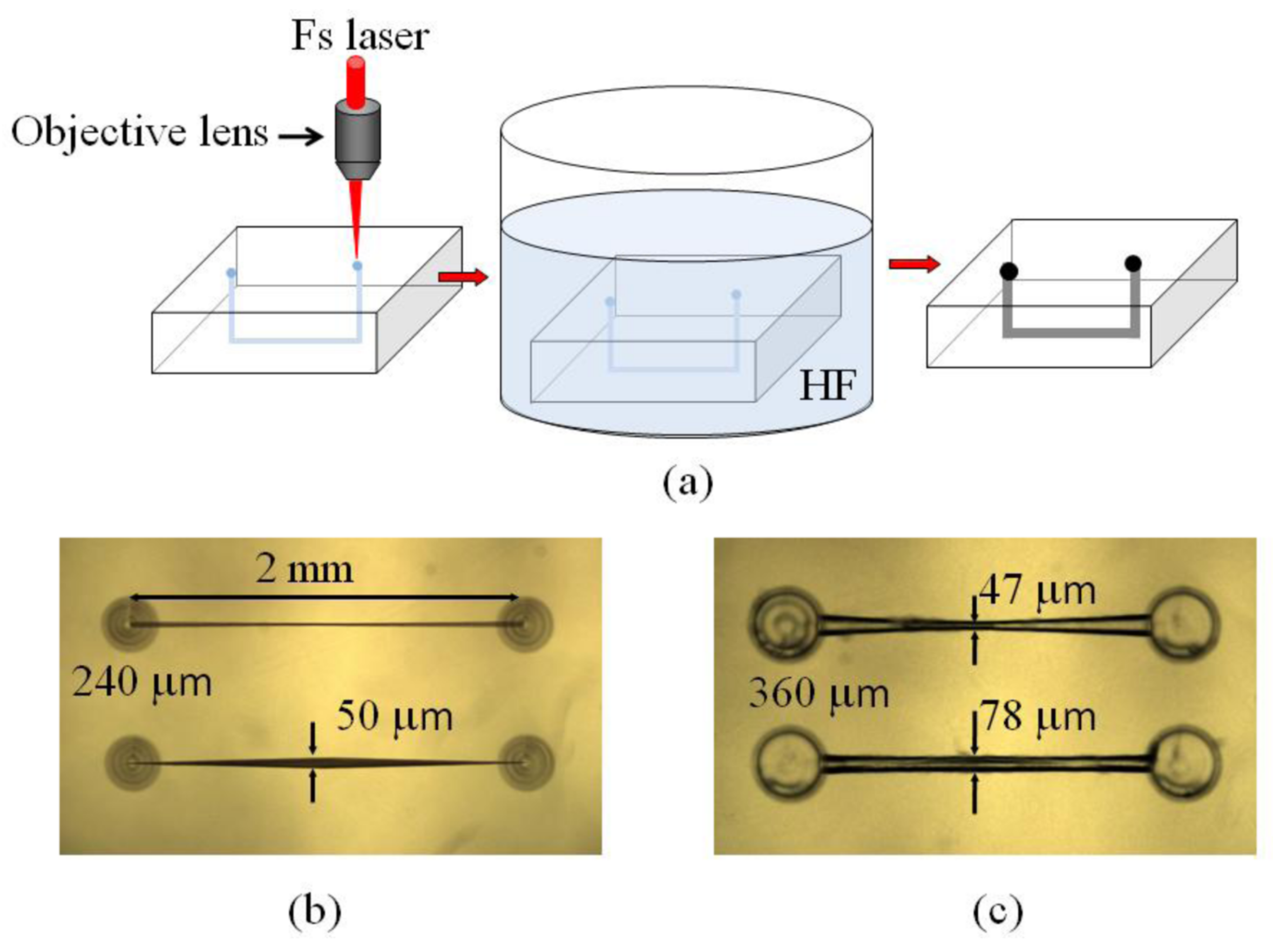 Biosensors 12 01024 g004 Biosensors 12 01024 g004