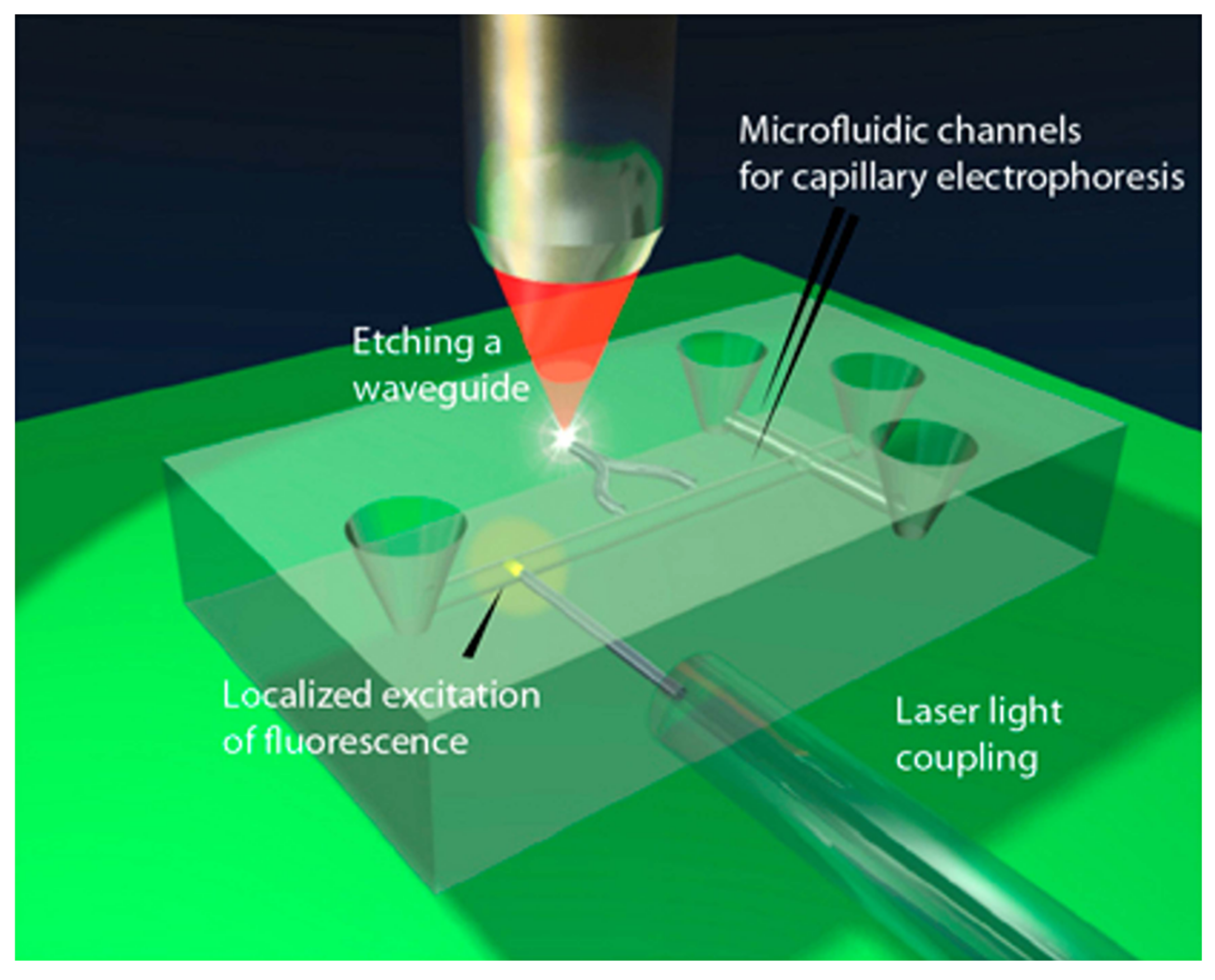 Biosensors 12 01024 g005 Biosensors 12 01024 g005